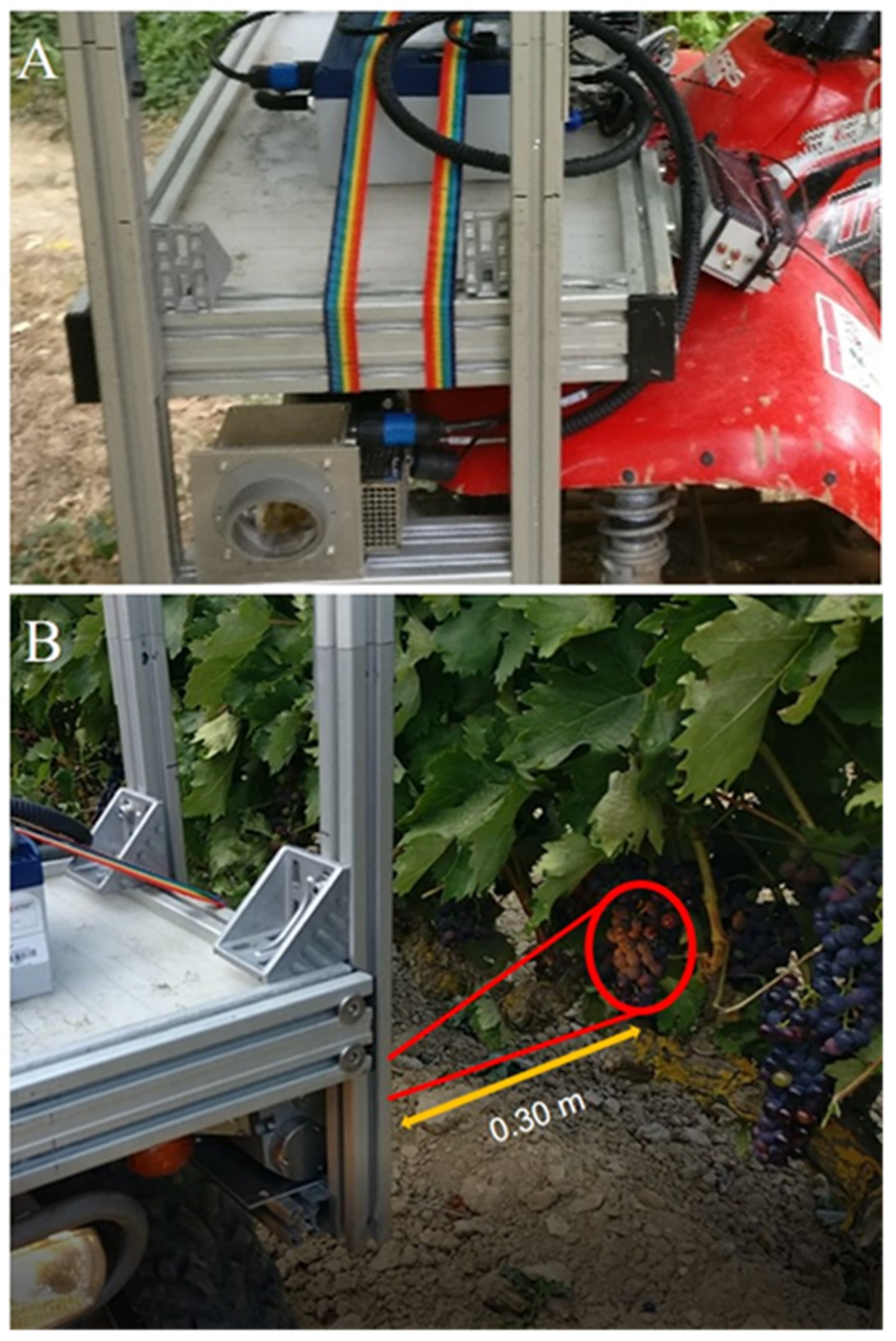 Molecules 24 02795 g004