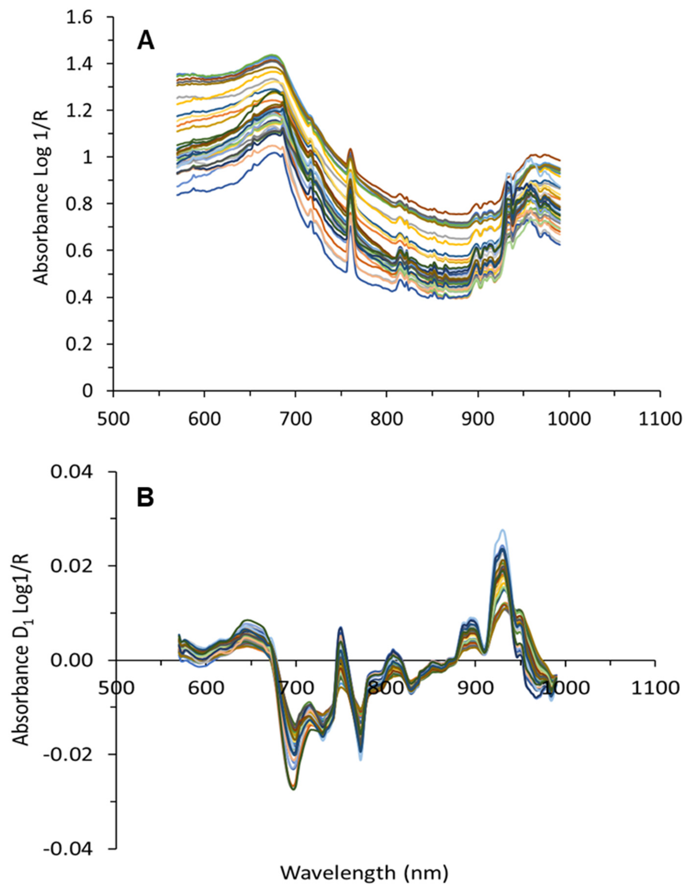 Molecules 24 02795 g007