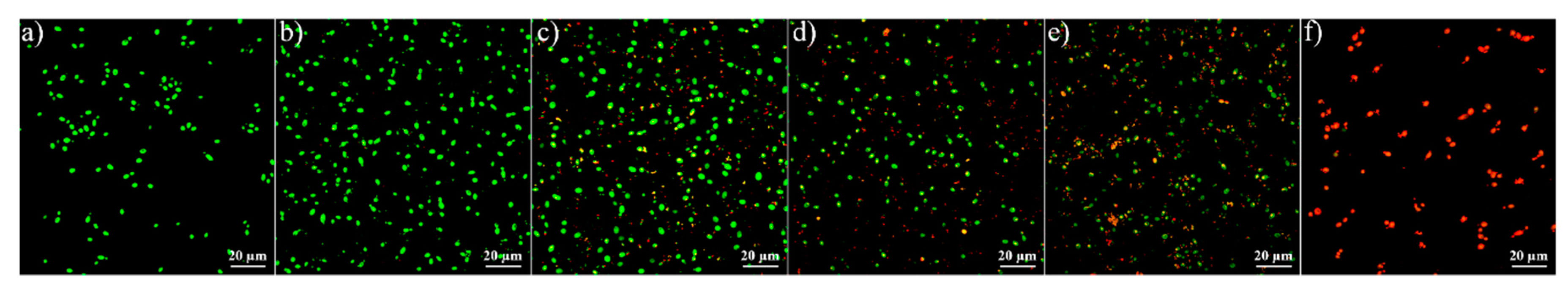 Molecules 24 02800 g008