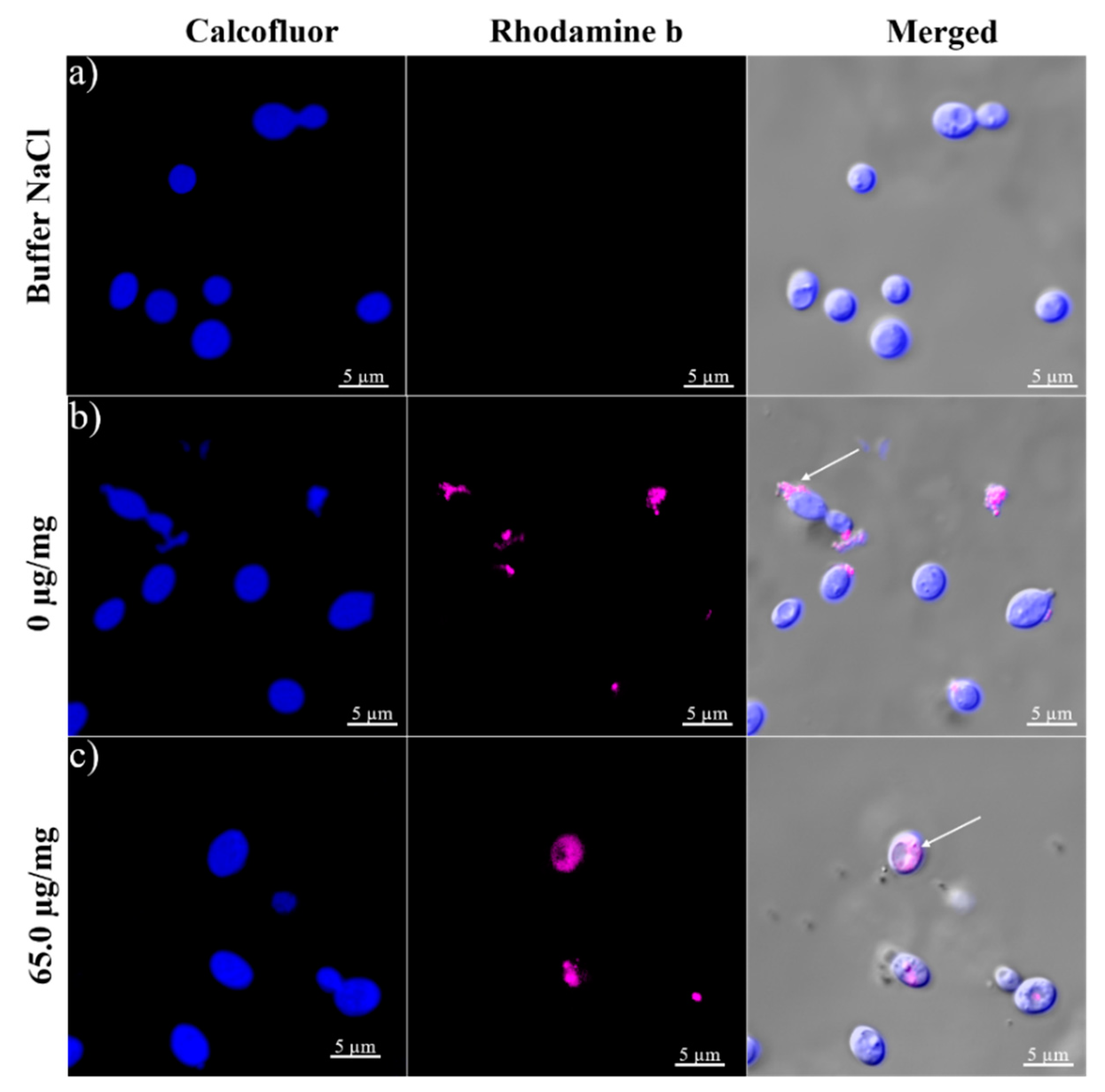 Molecules 24 02800 g011
