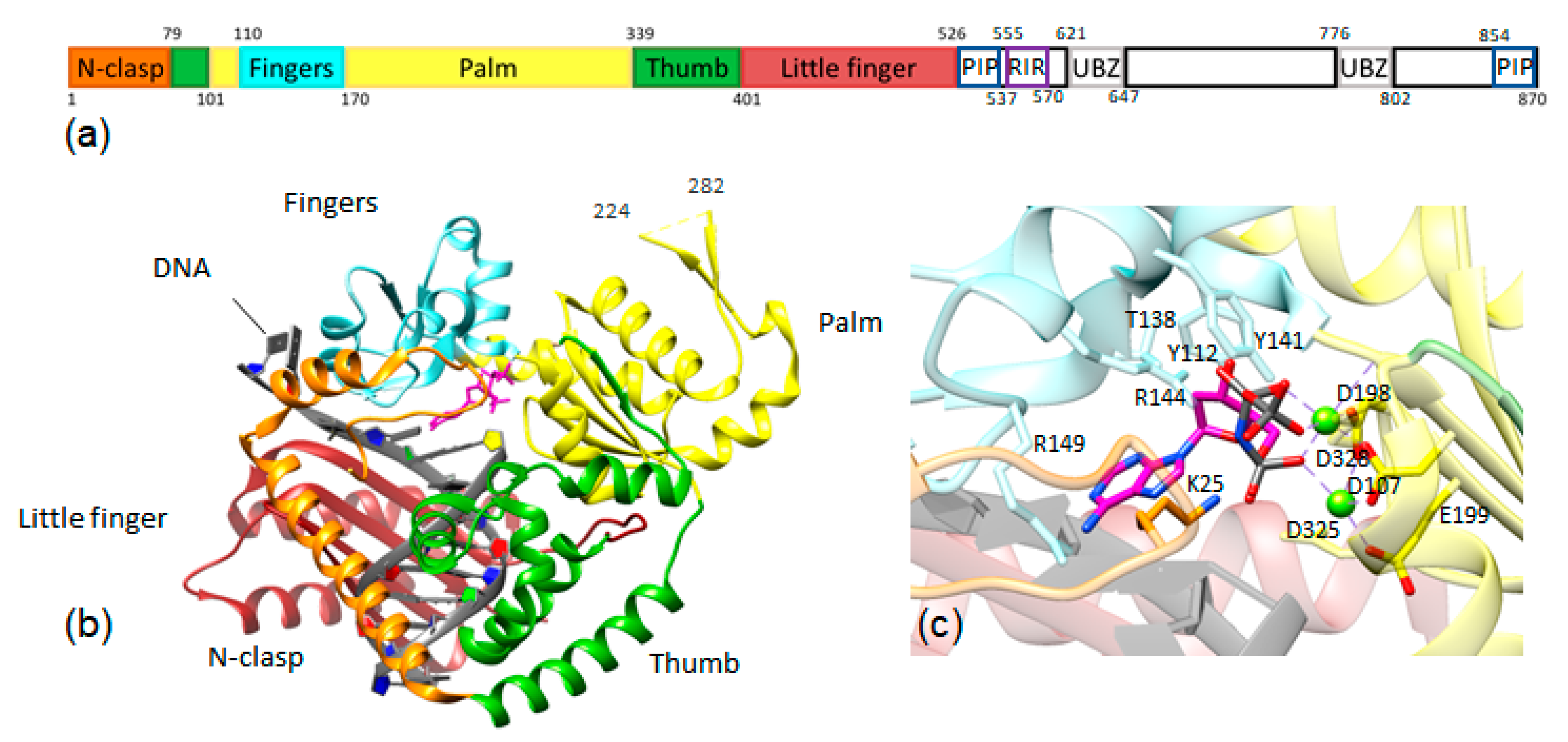 Molecules 24 02805 g002 Molecules 24 02805 g002