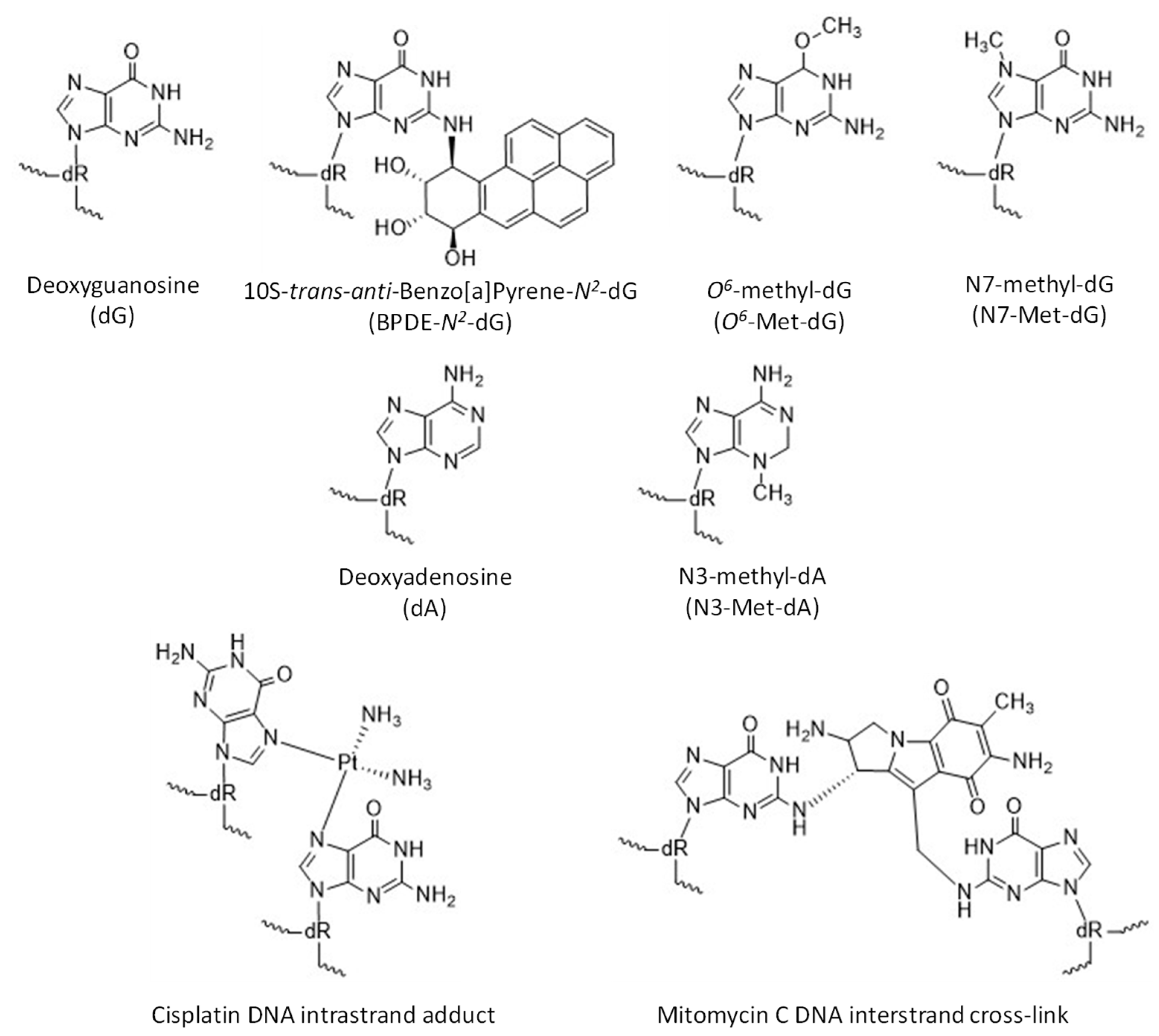 Molecules 24 02805 g003 Molecules 24 02805 g003
