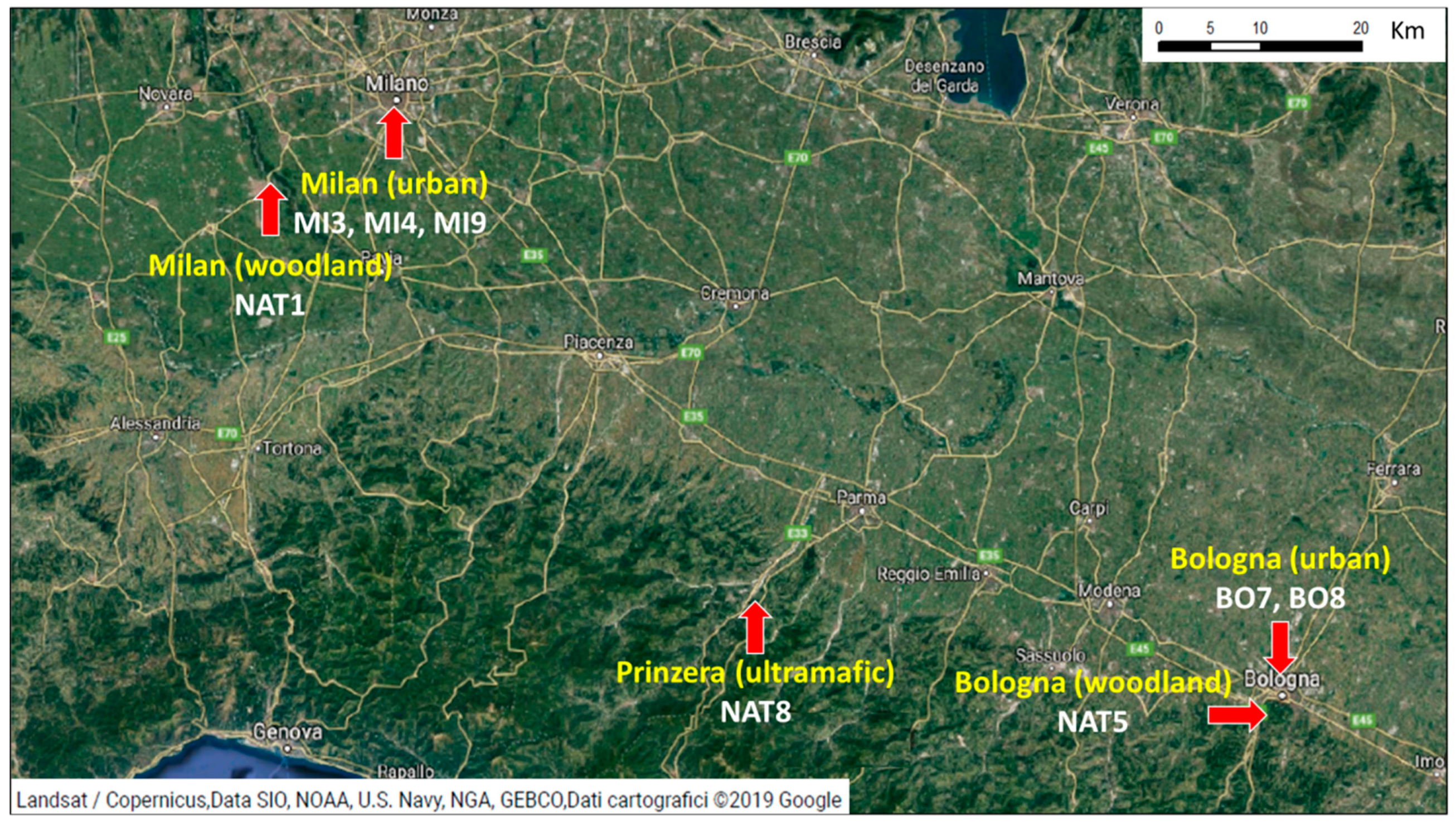 Molecules 24 02813 g001