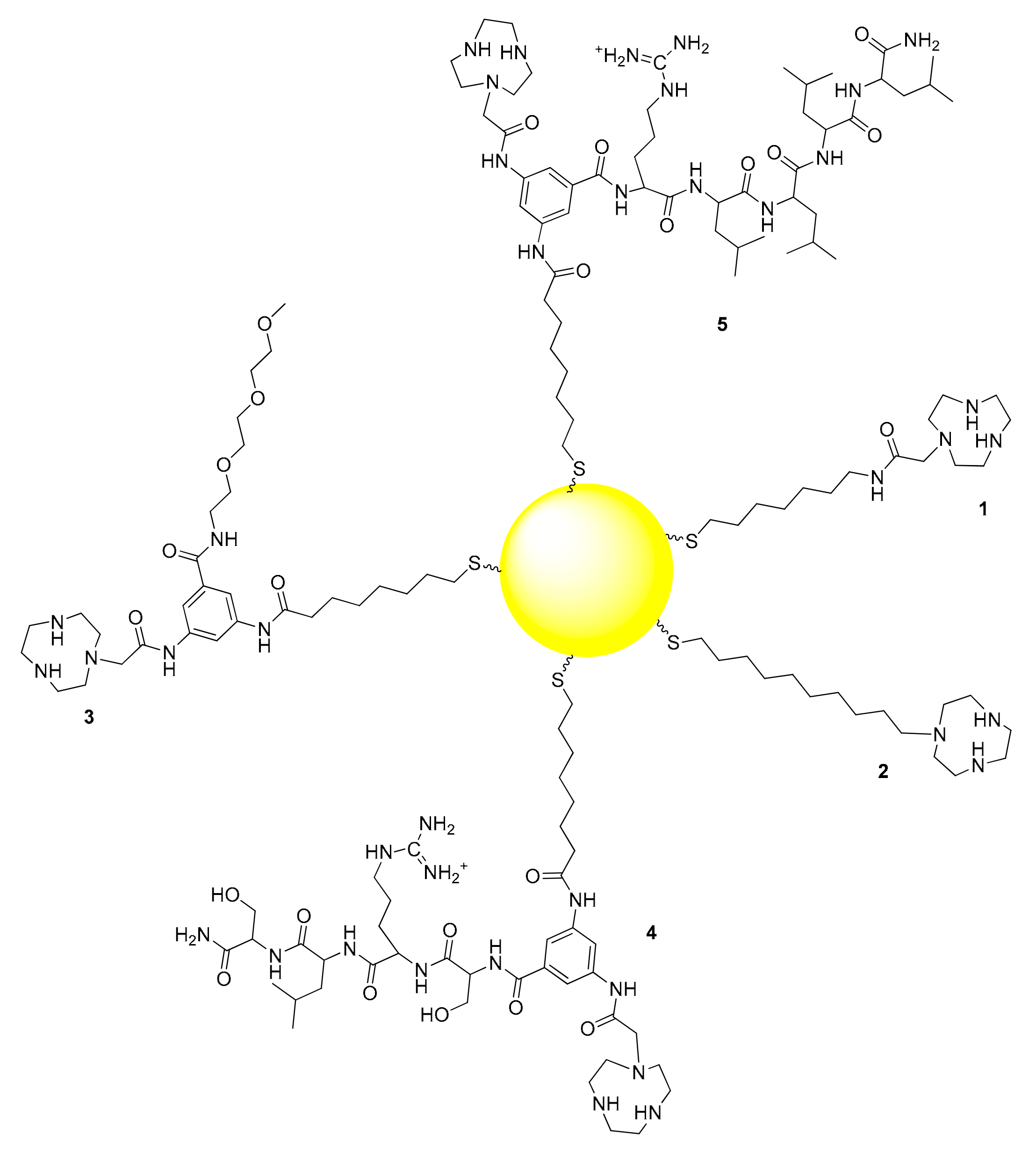 Molecules 24 02814 g001