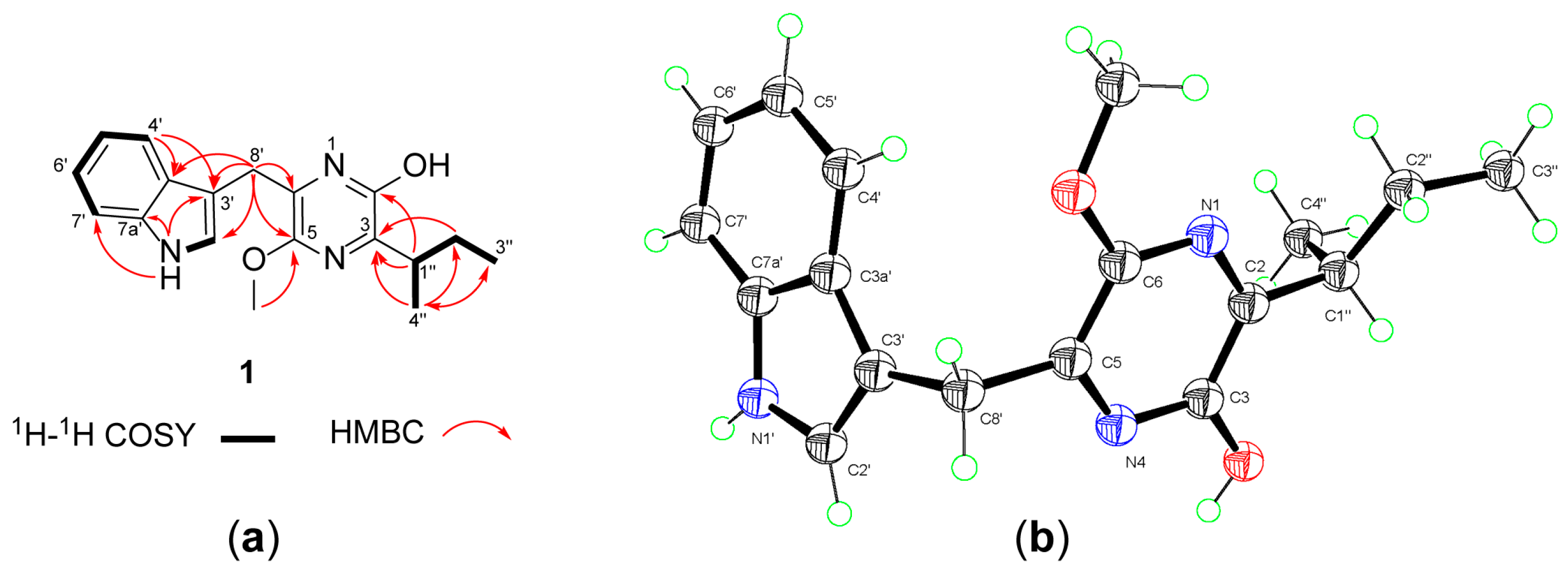 Molecules 24 02821 g002