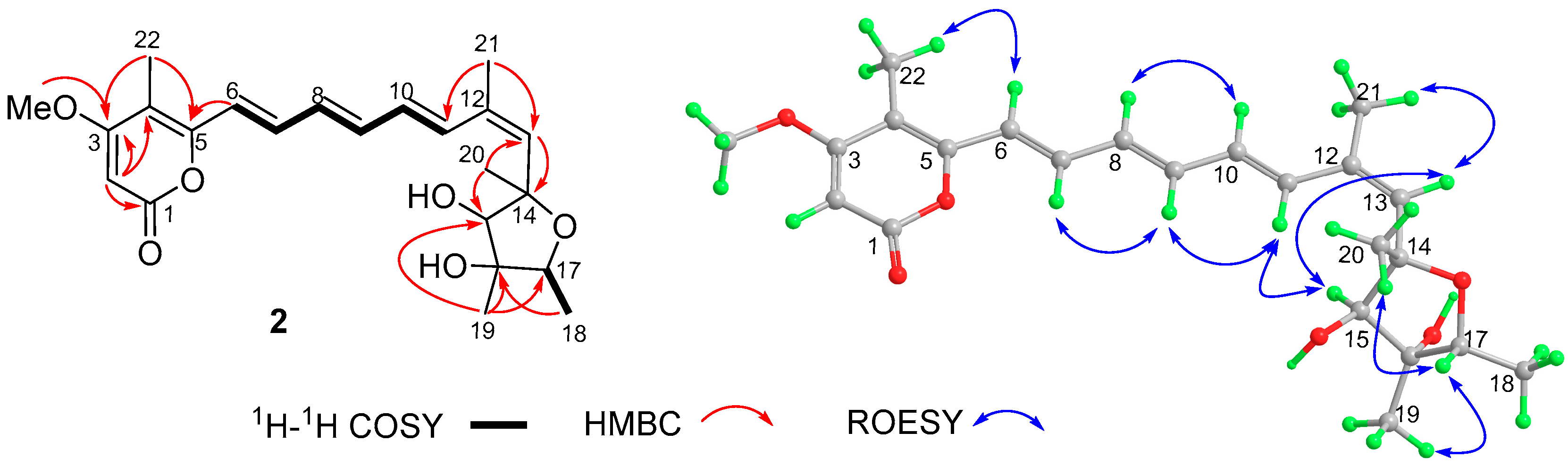 Molecules 24 02821 g003