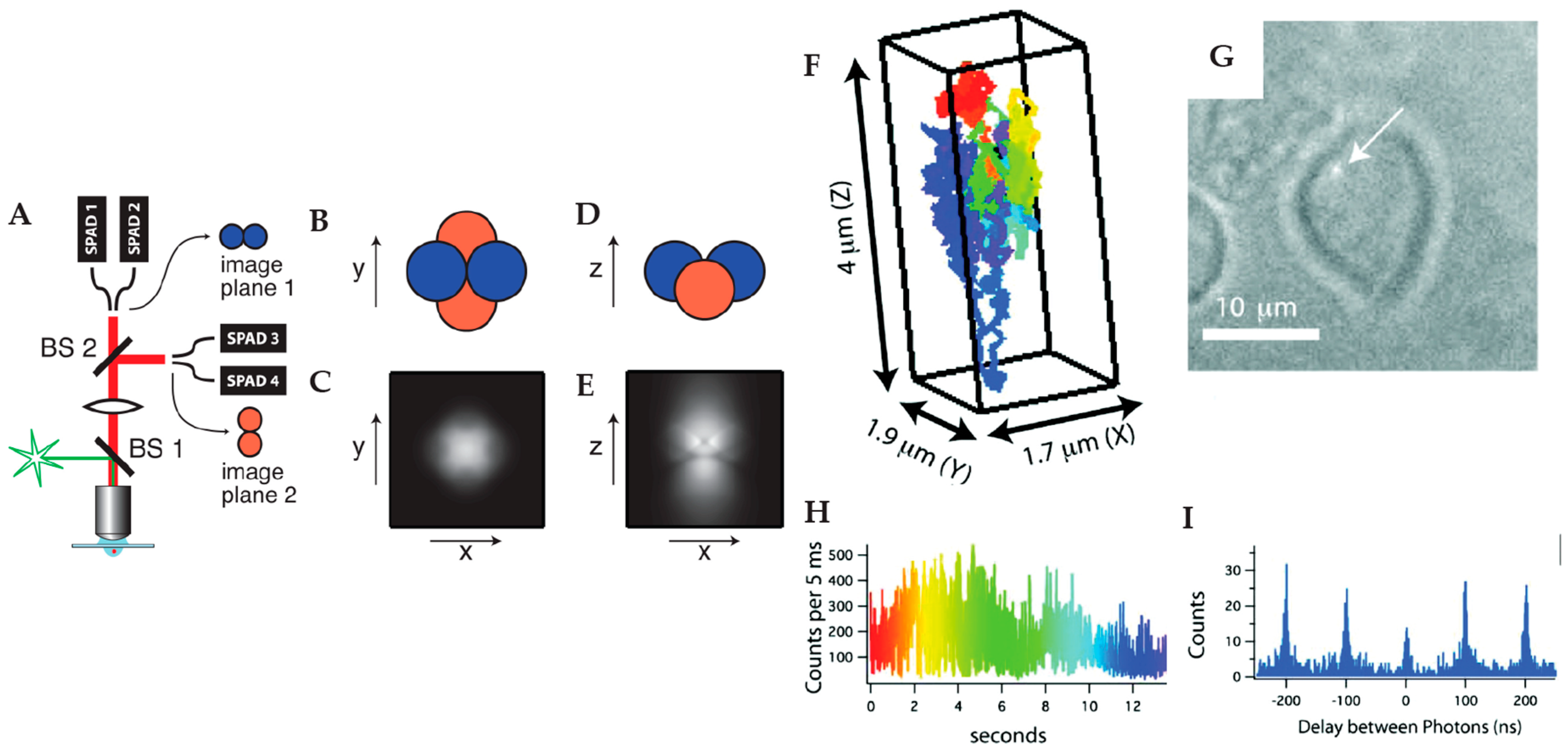 Molecules 24 02826 g004 Molecules 24 02826 g004