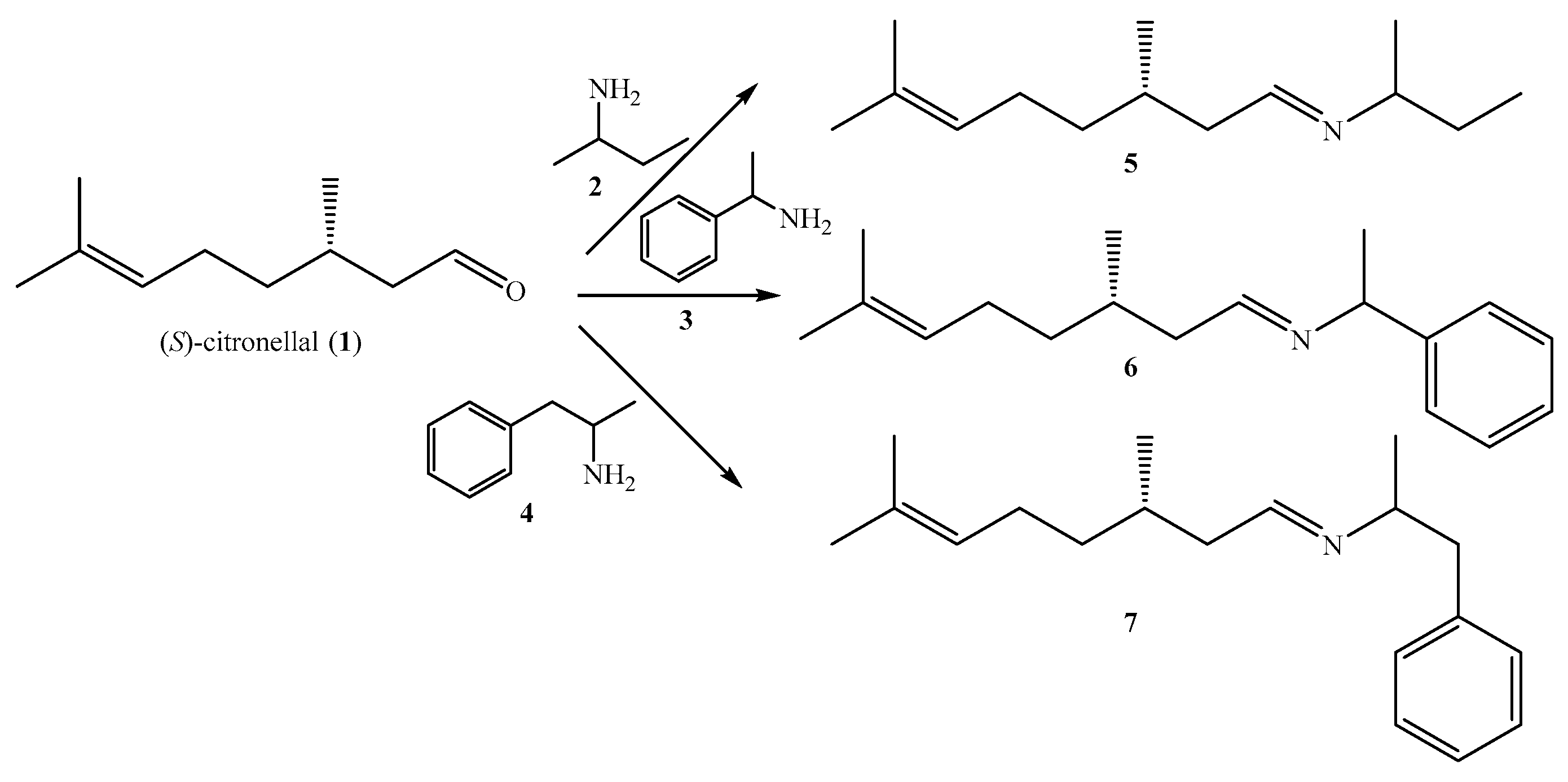 Molecules 24 02830 sch001 Molecules 24 02830 sch001