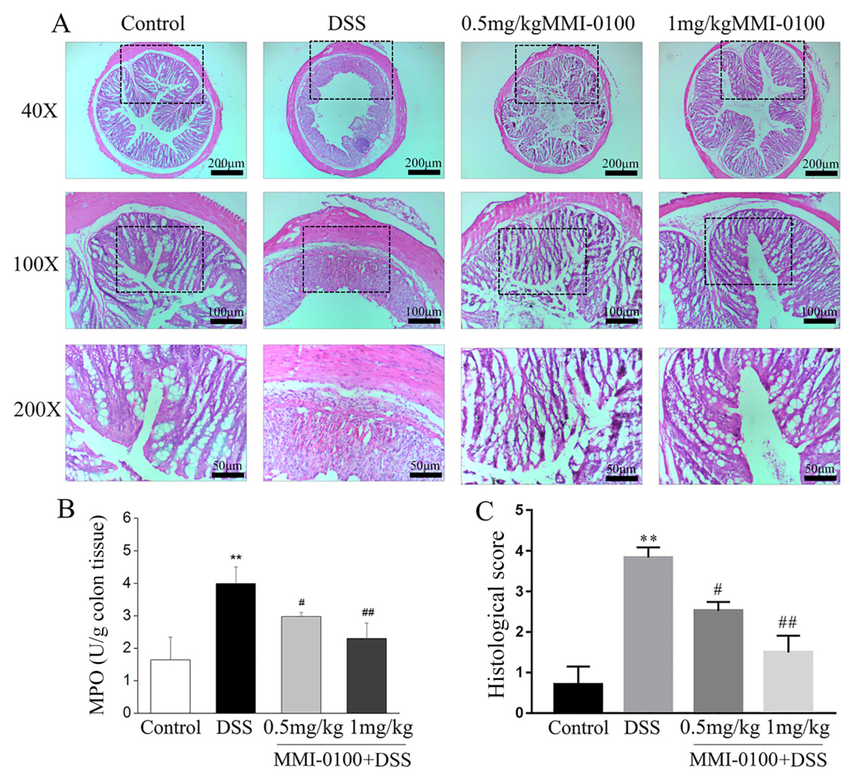 Molecules 24 02832 g002