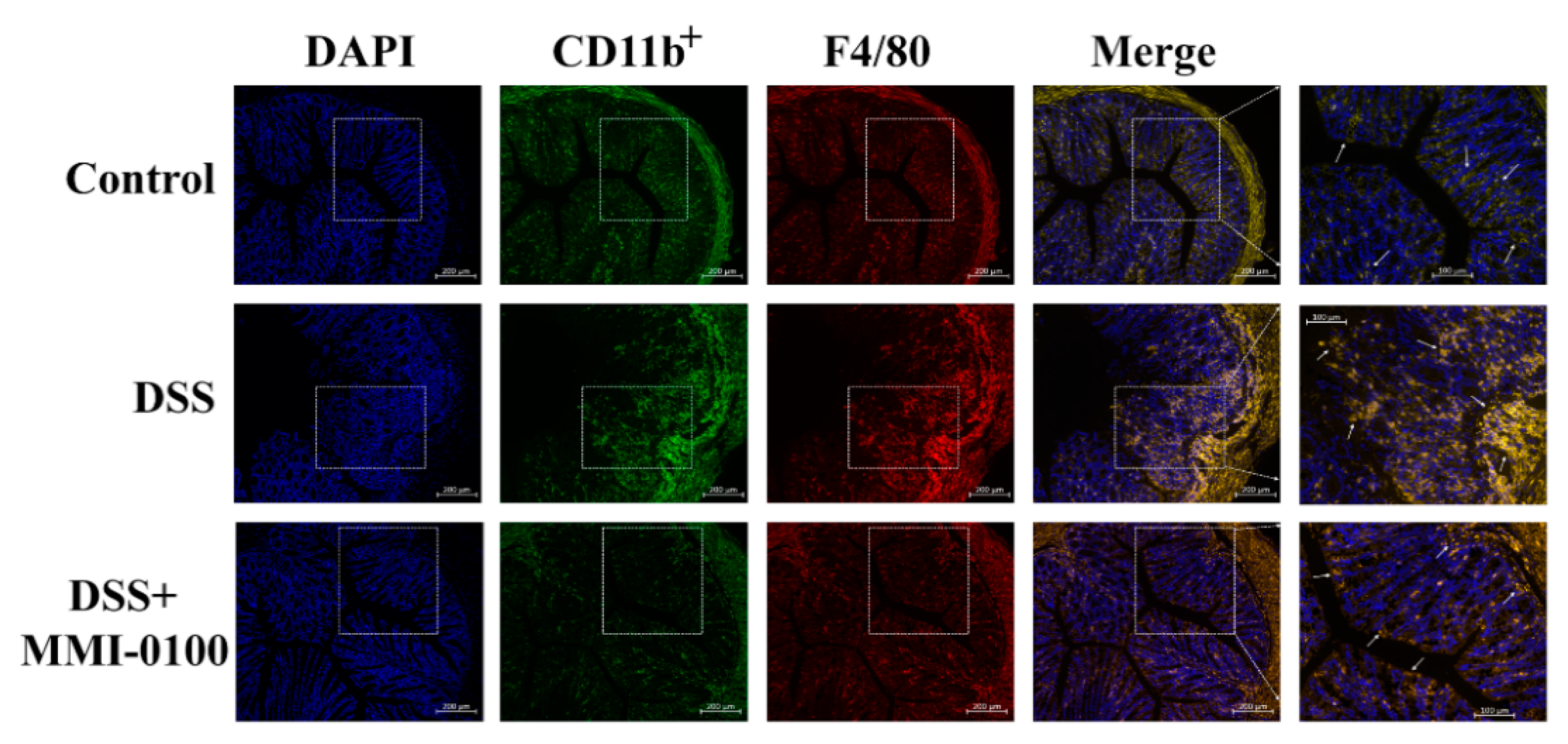 Molecules 24 02832 g004