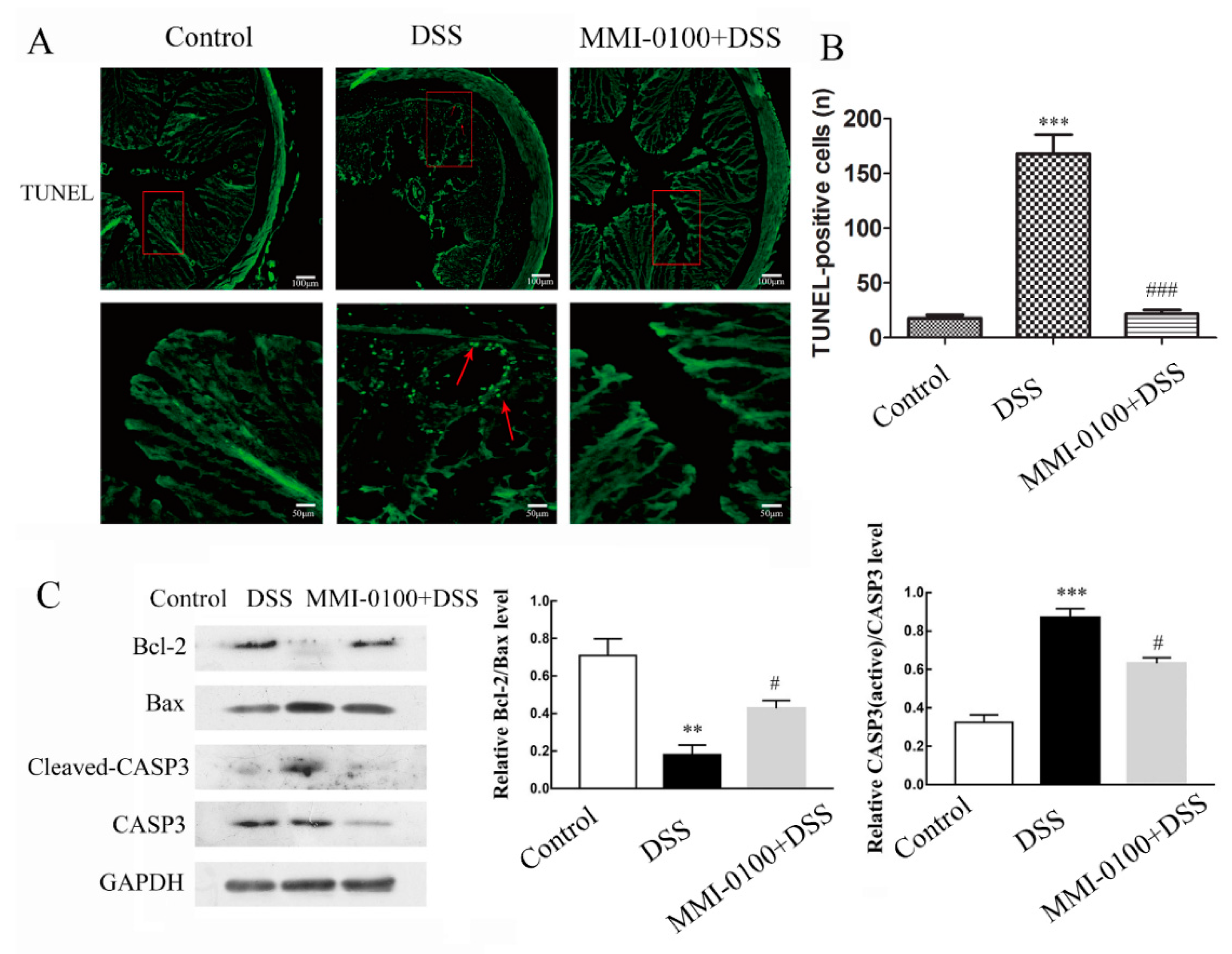 Molecules 24 02832 g005
