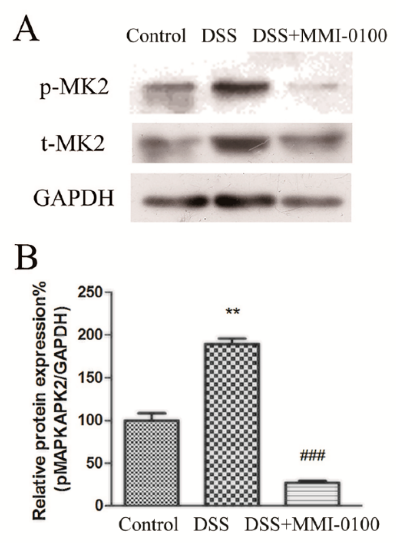 Molecules 24 02832 g006