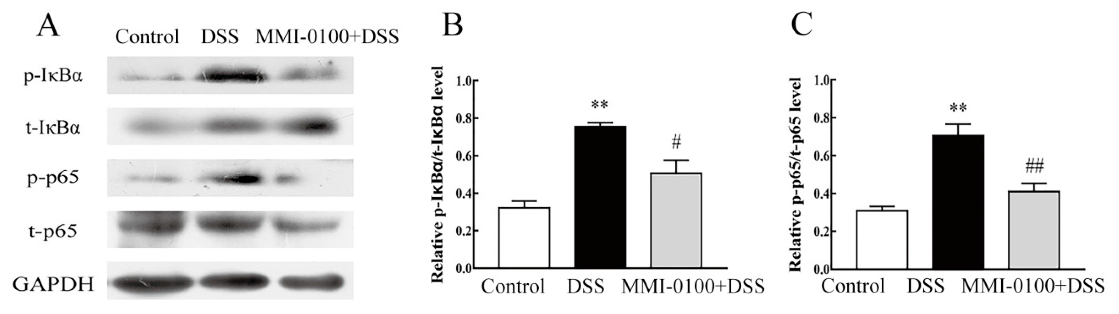 Molecules 24 02832 g007