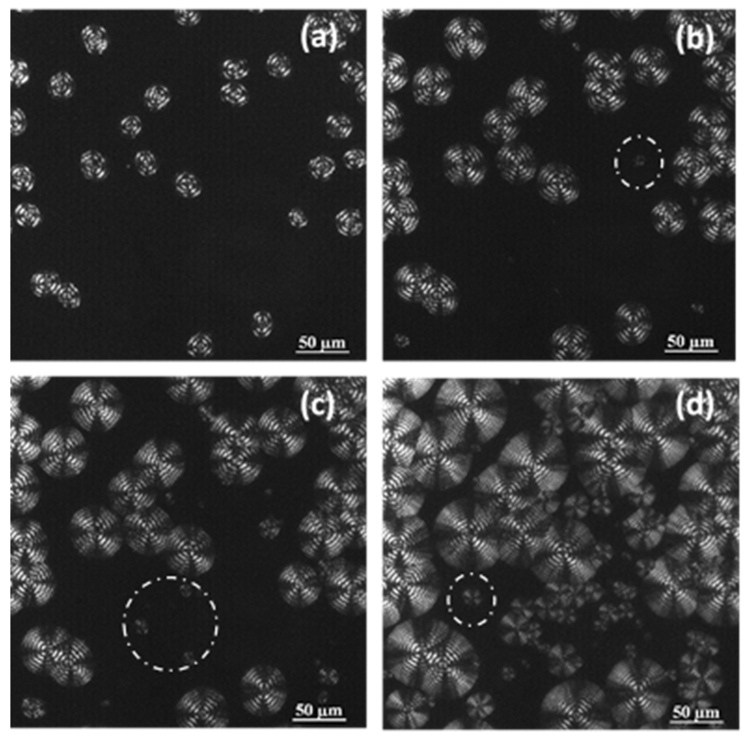 Molecules 24 02840 g004 Molecules 24 02840 g004