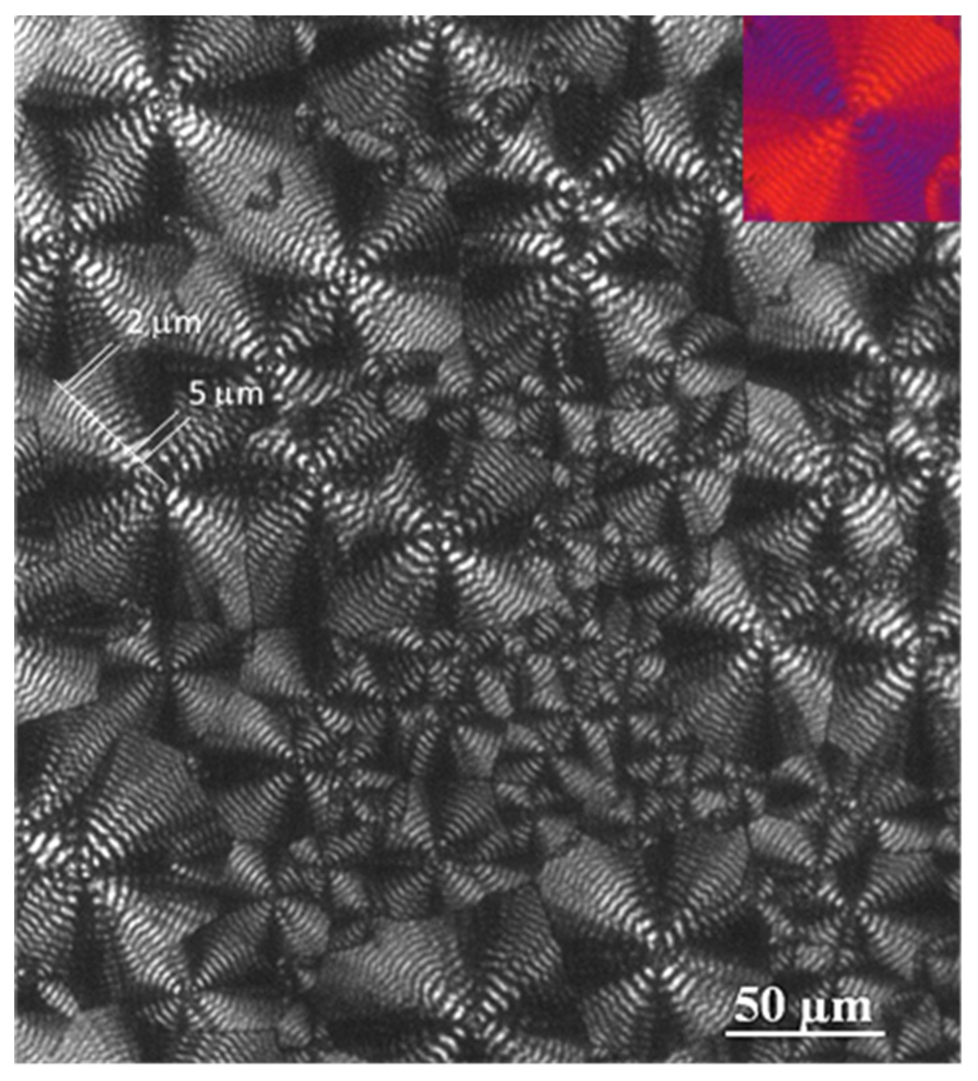 Molecules 24 02840 g005 Molecules 24 02840 g005