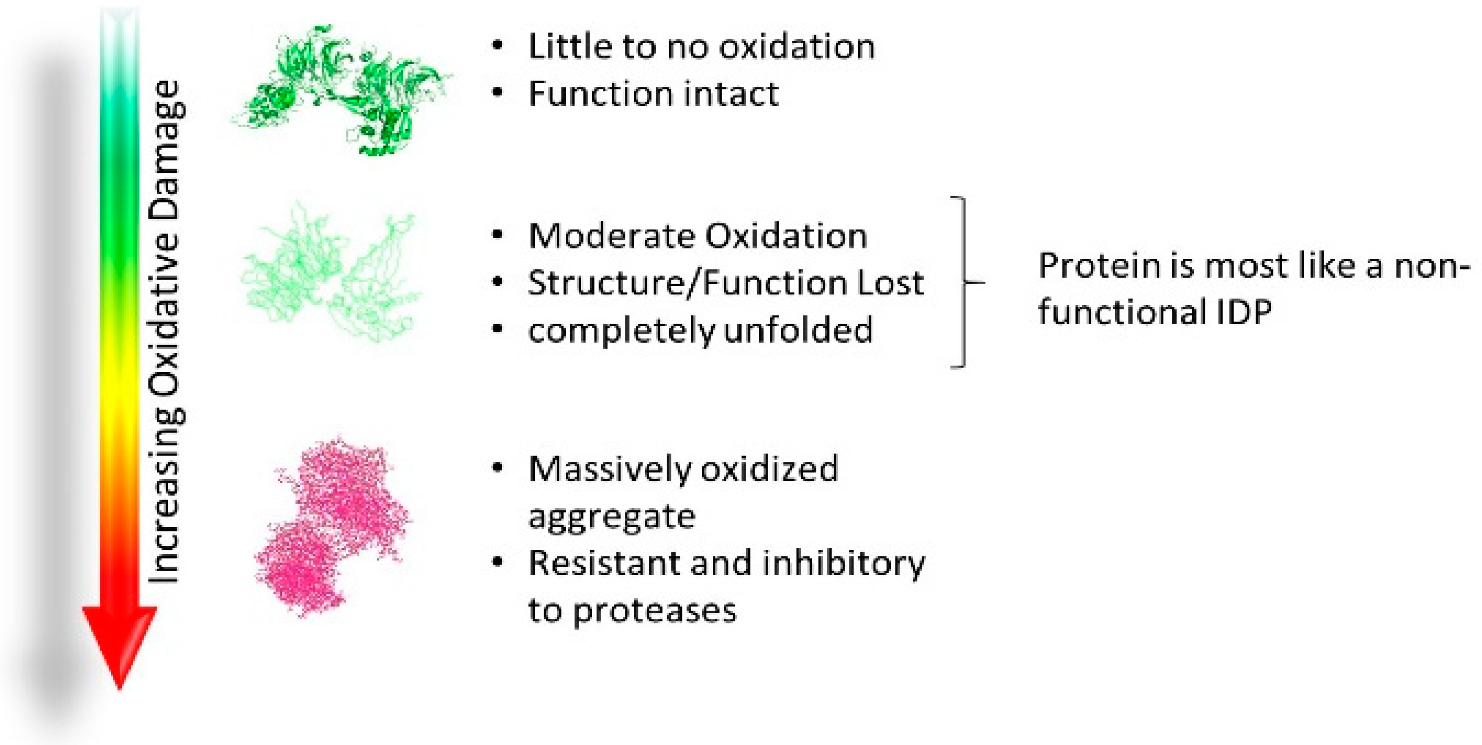 Molecules 24 02841 g003