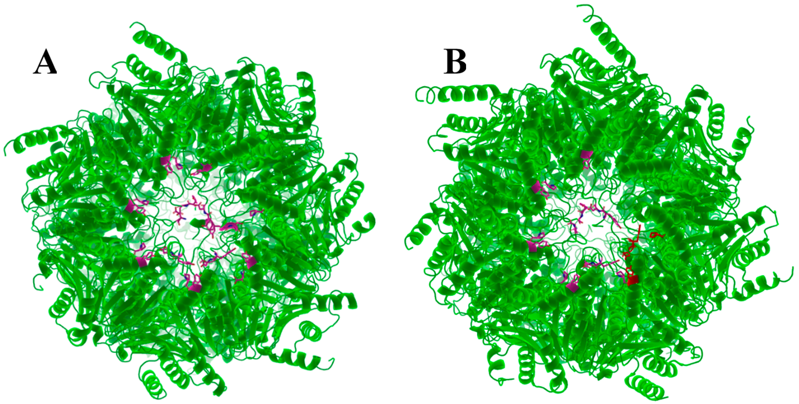 Molecules 24 02841 g006