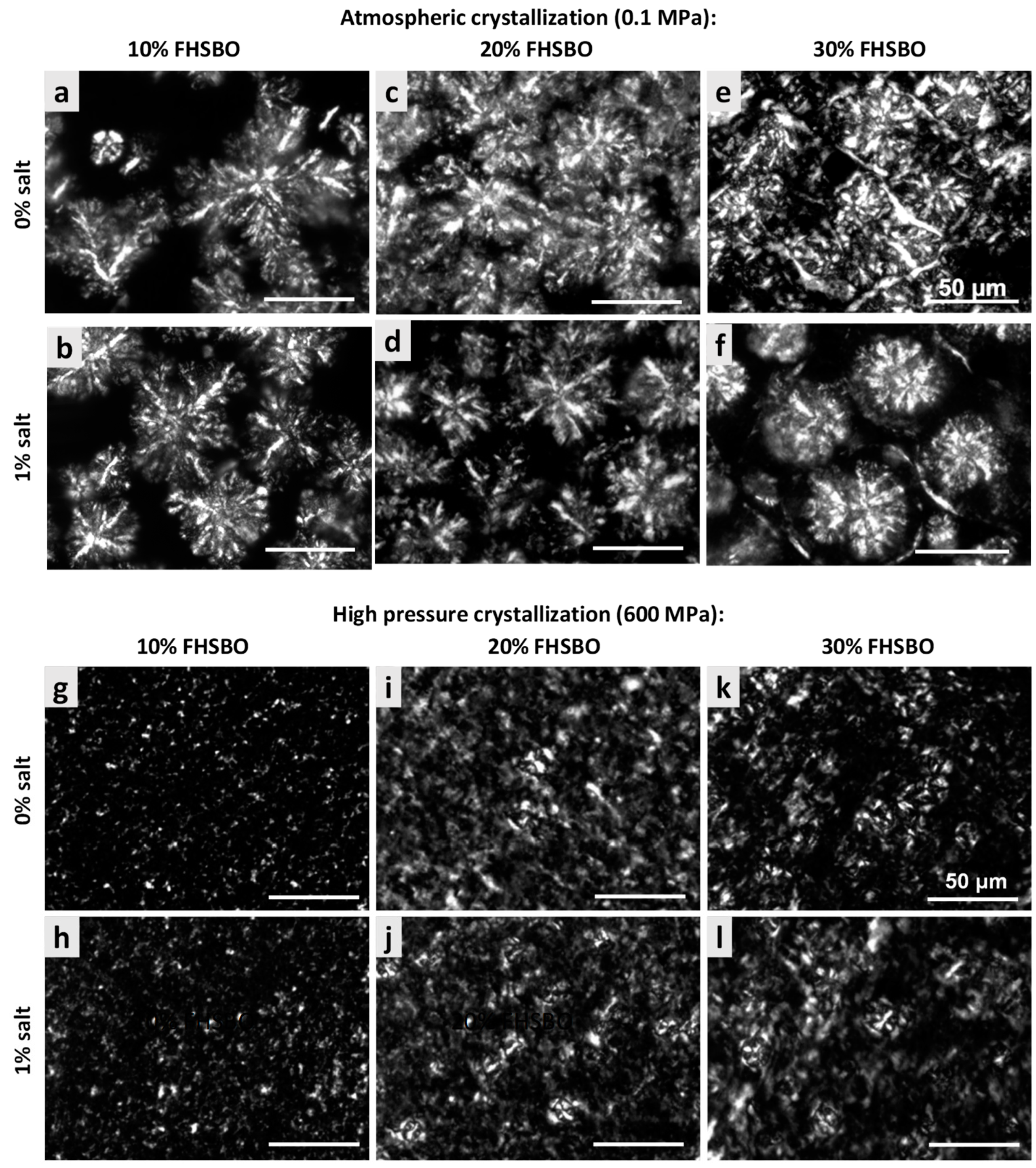Molecules 24 02853 g003
