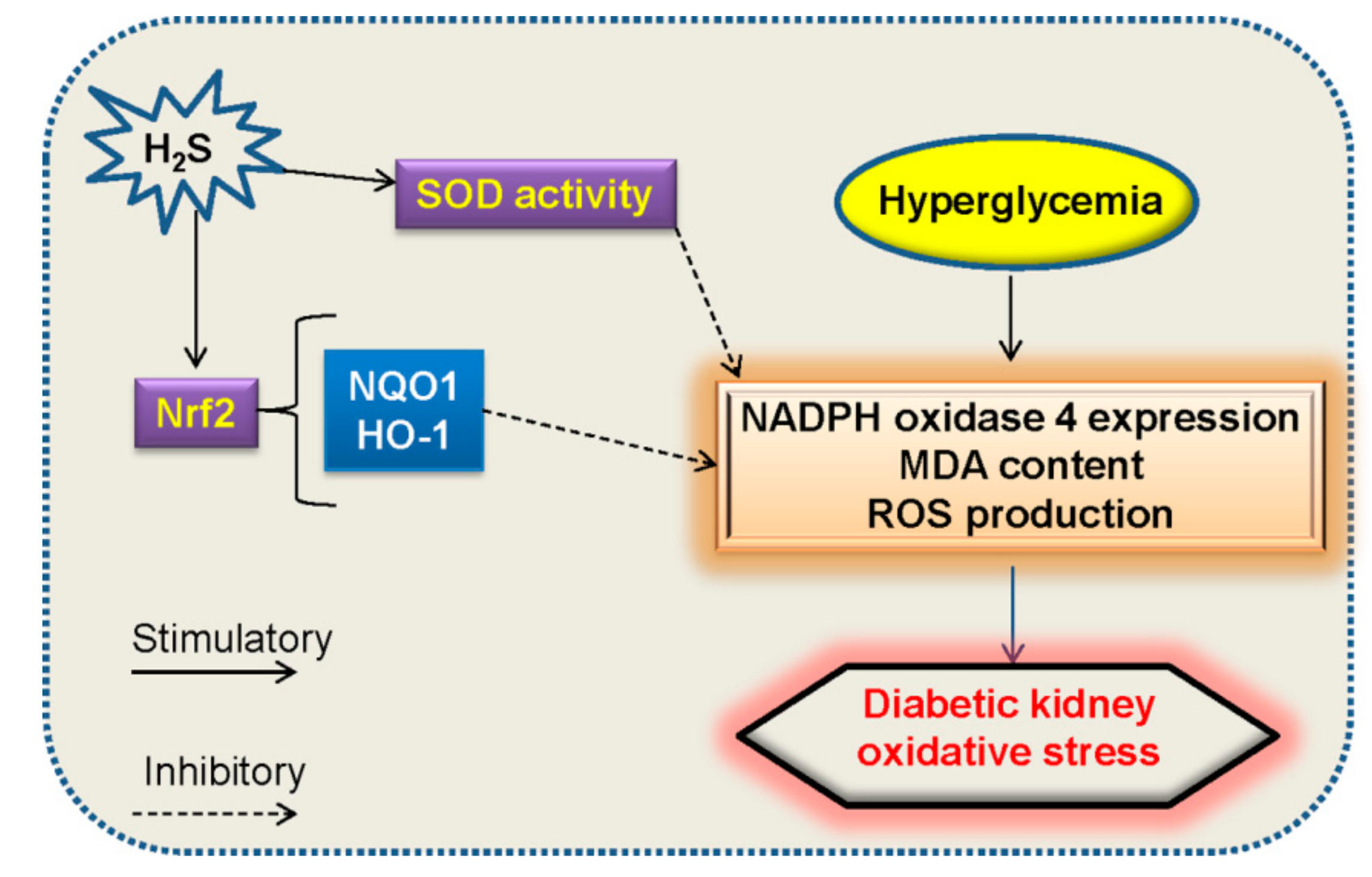 Molecules 24 02857 g004