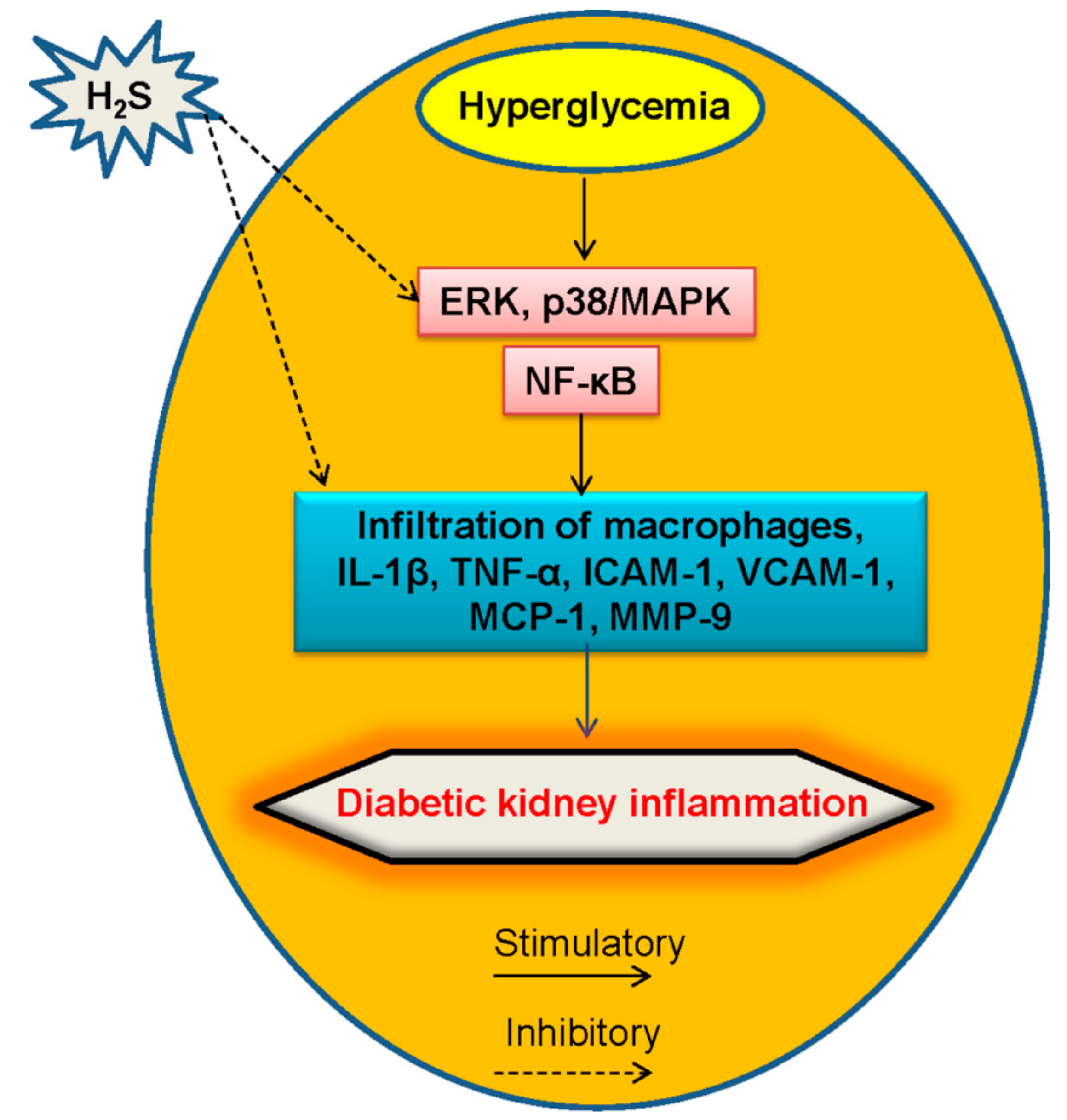 Molecules 24 02857 g005