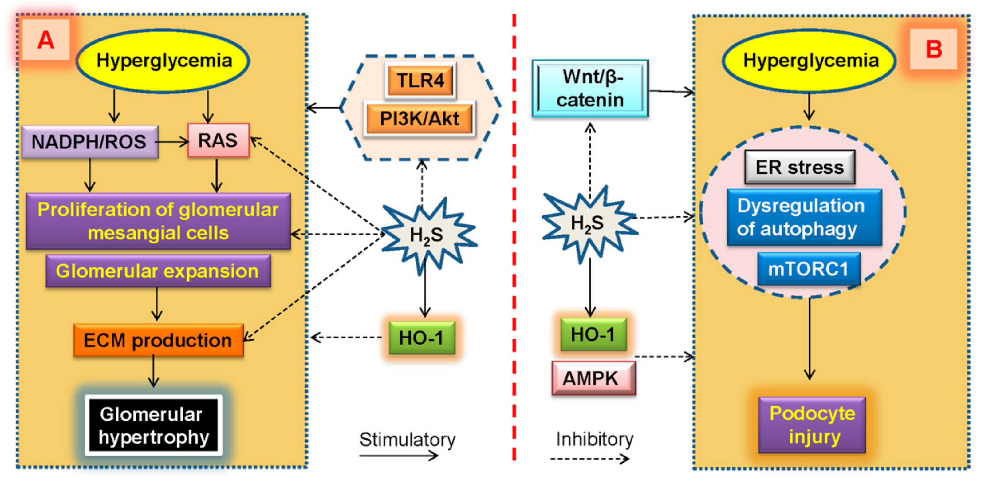 Molecules 24 02857 g007