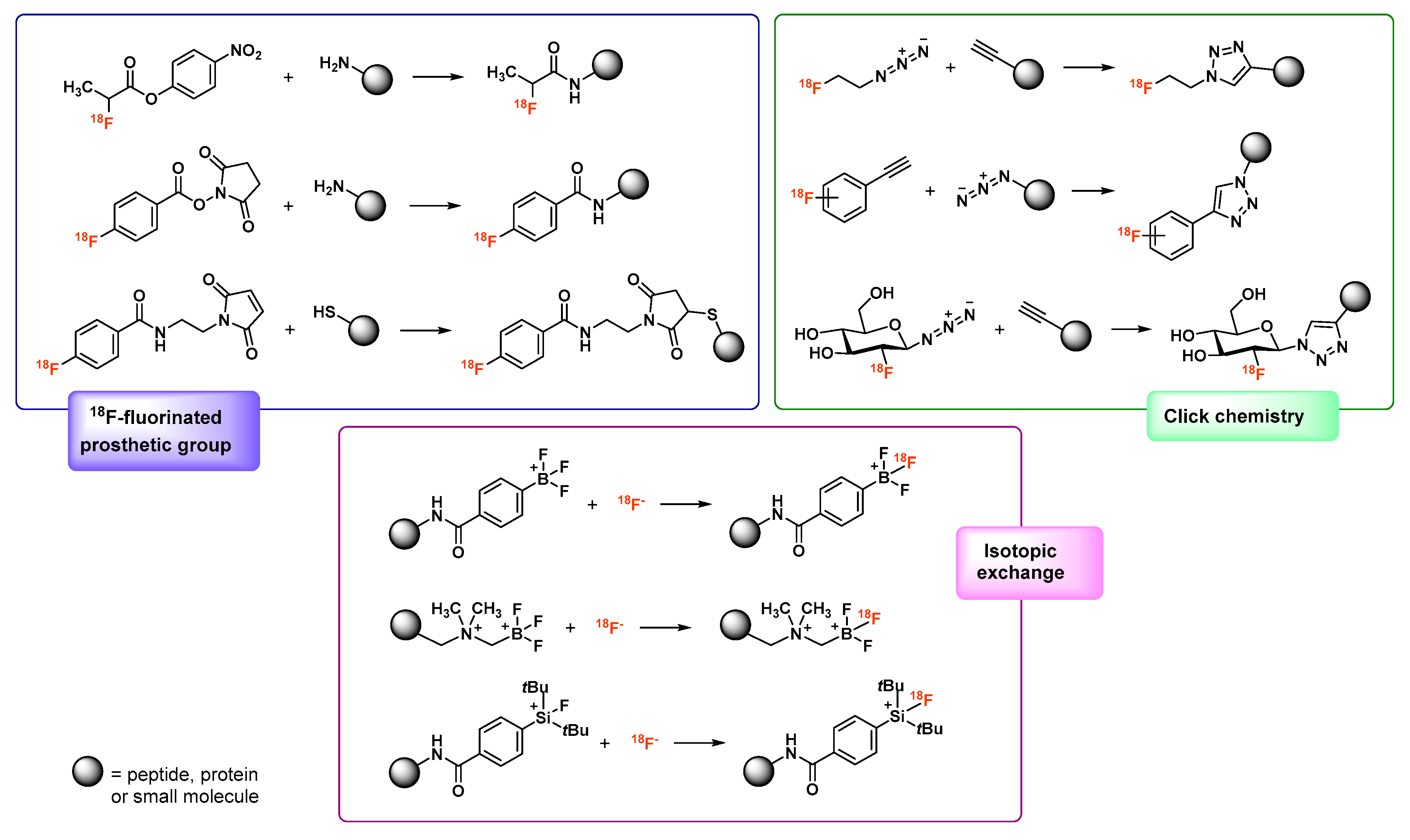 Molecules 24 02866 g002