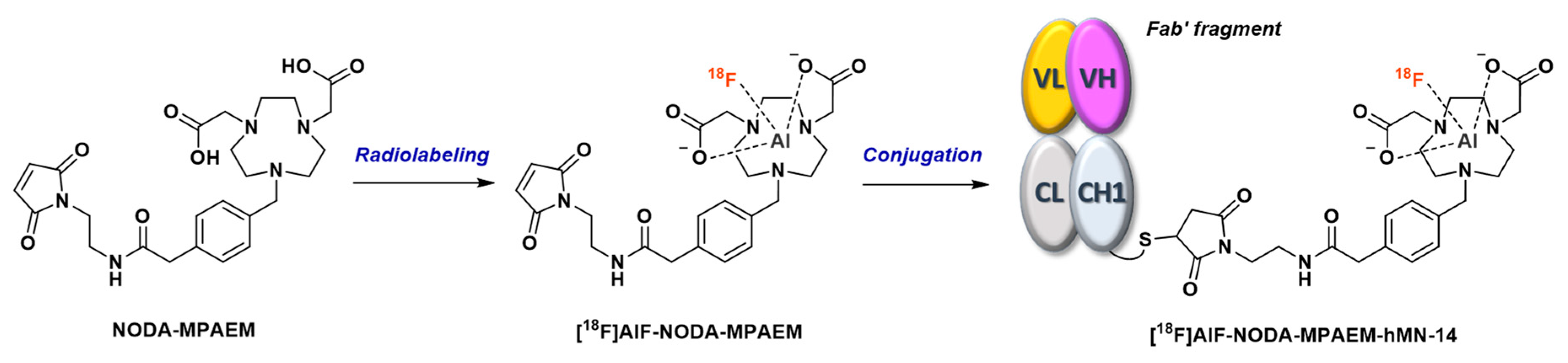 Molecules 24 02866 g014