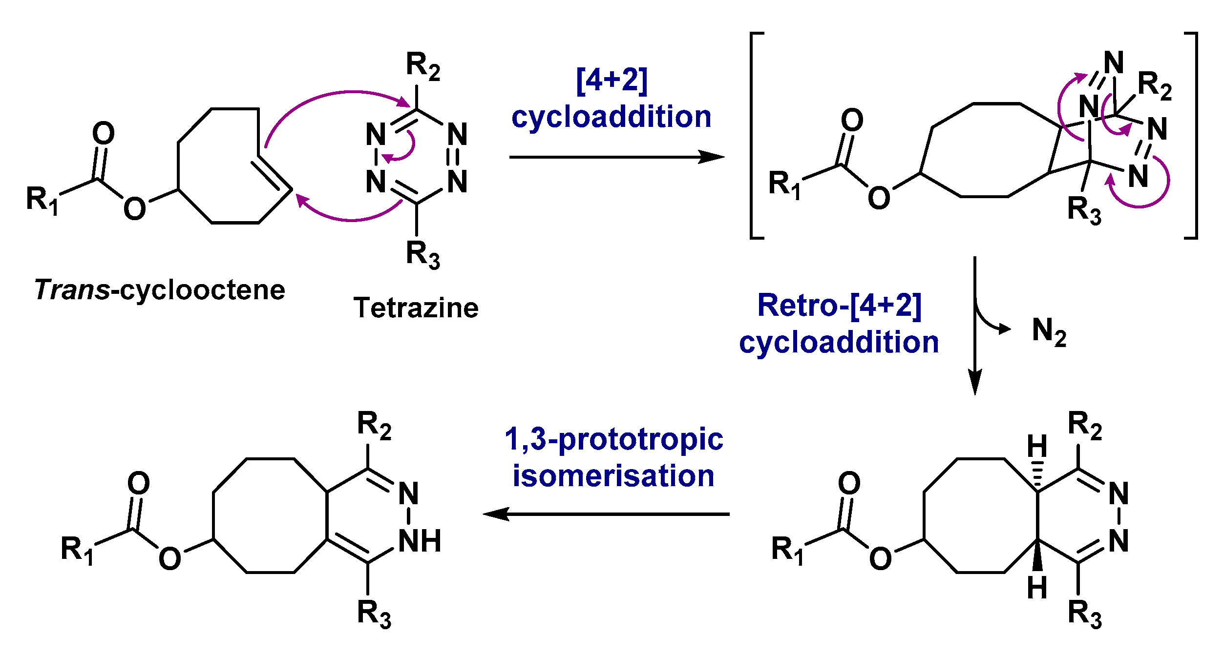 Molecules 24 02866 g016