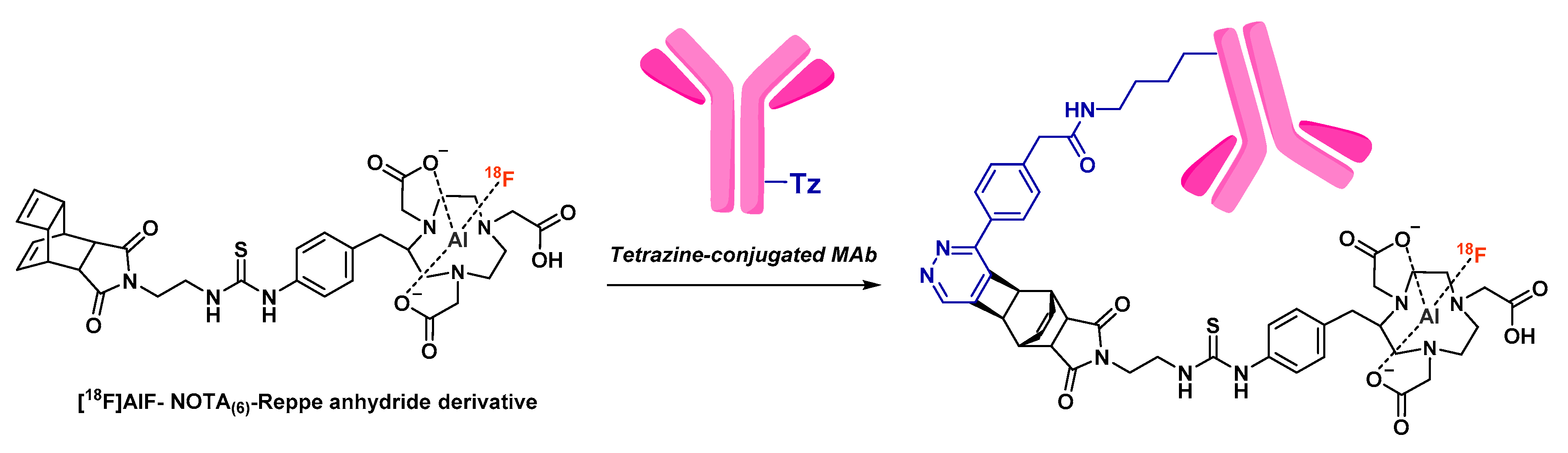 Molecules 24 02866 g018