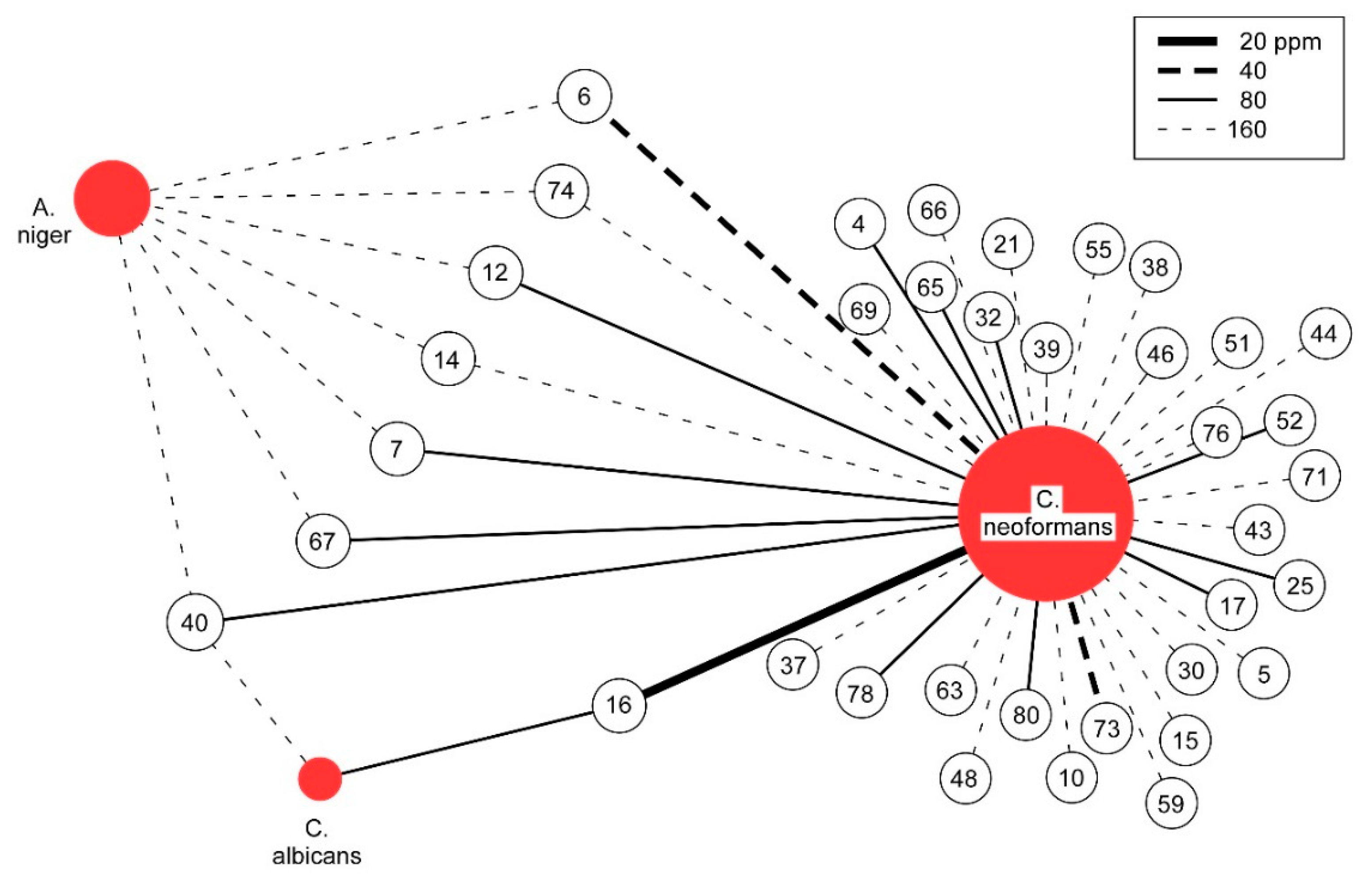 Molecules 24 02868 g001