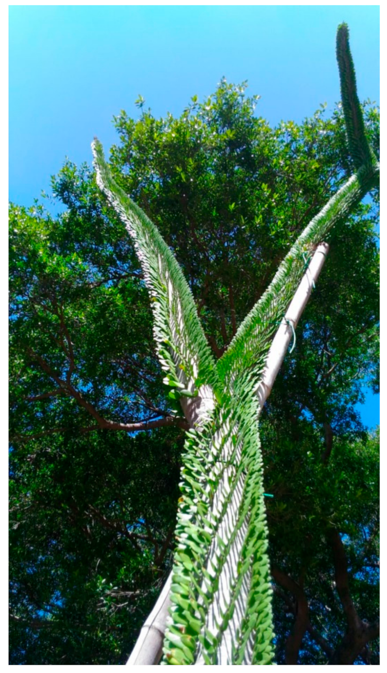 Molecules 24 02871 g001