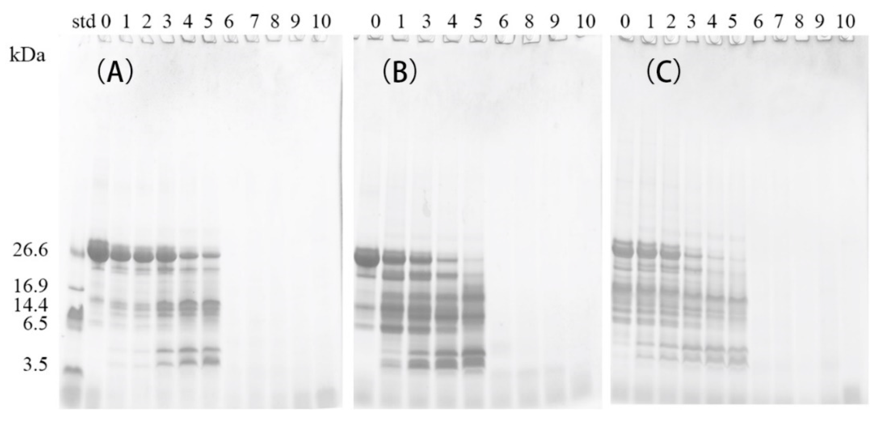 Molecules 24 02876 g003 Molecules 24 02876 g003