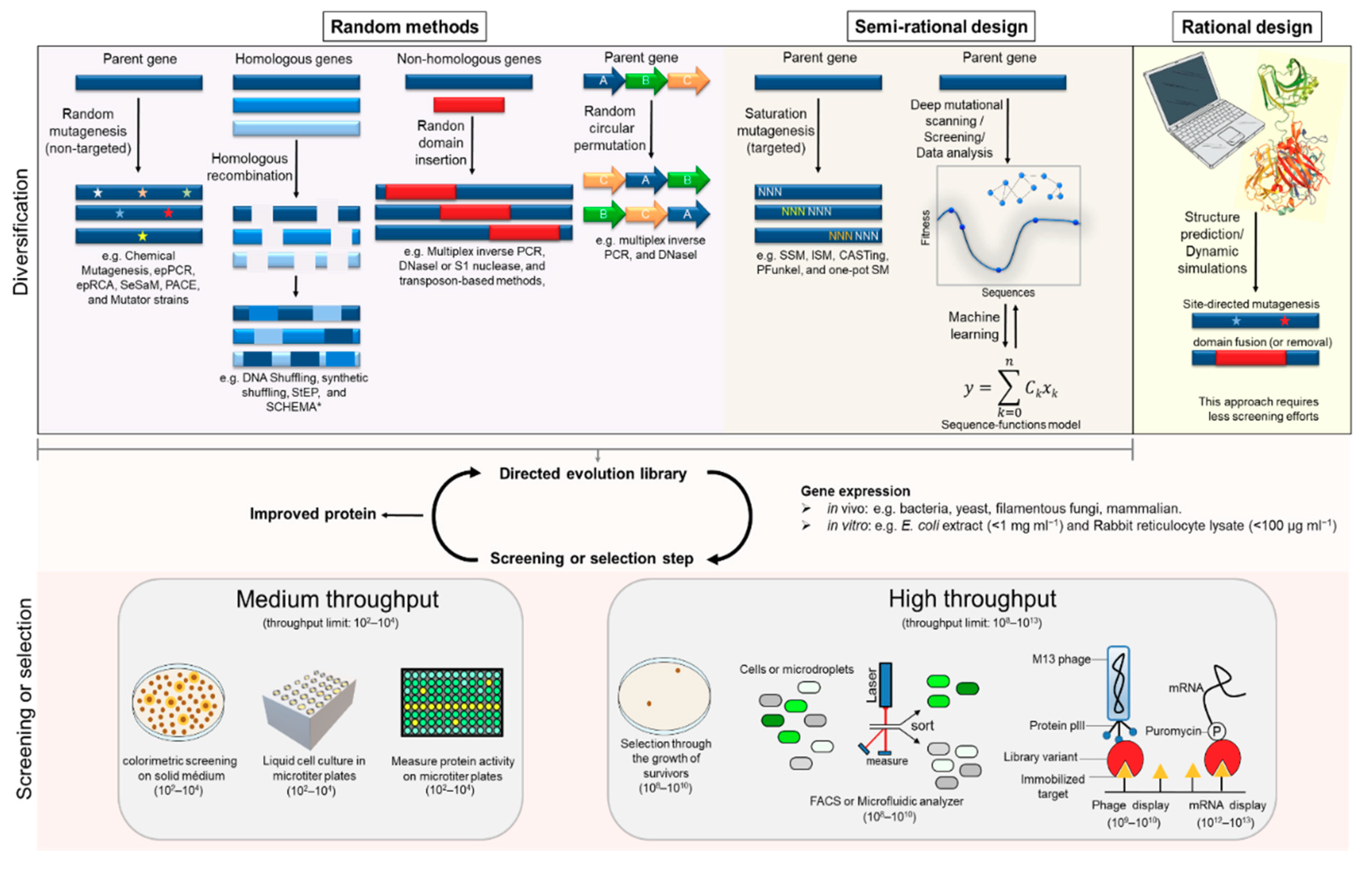 Molecules 24 02879 g002