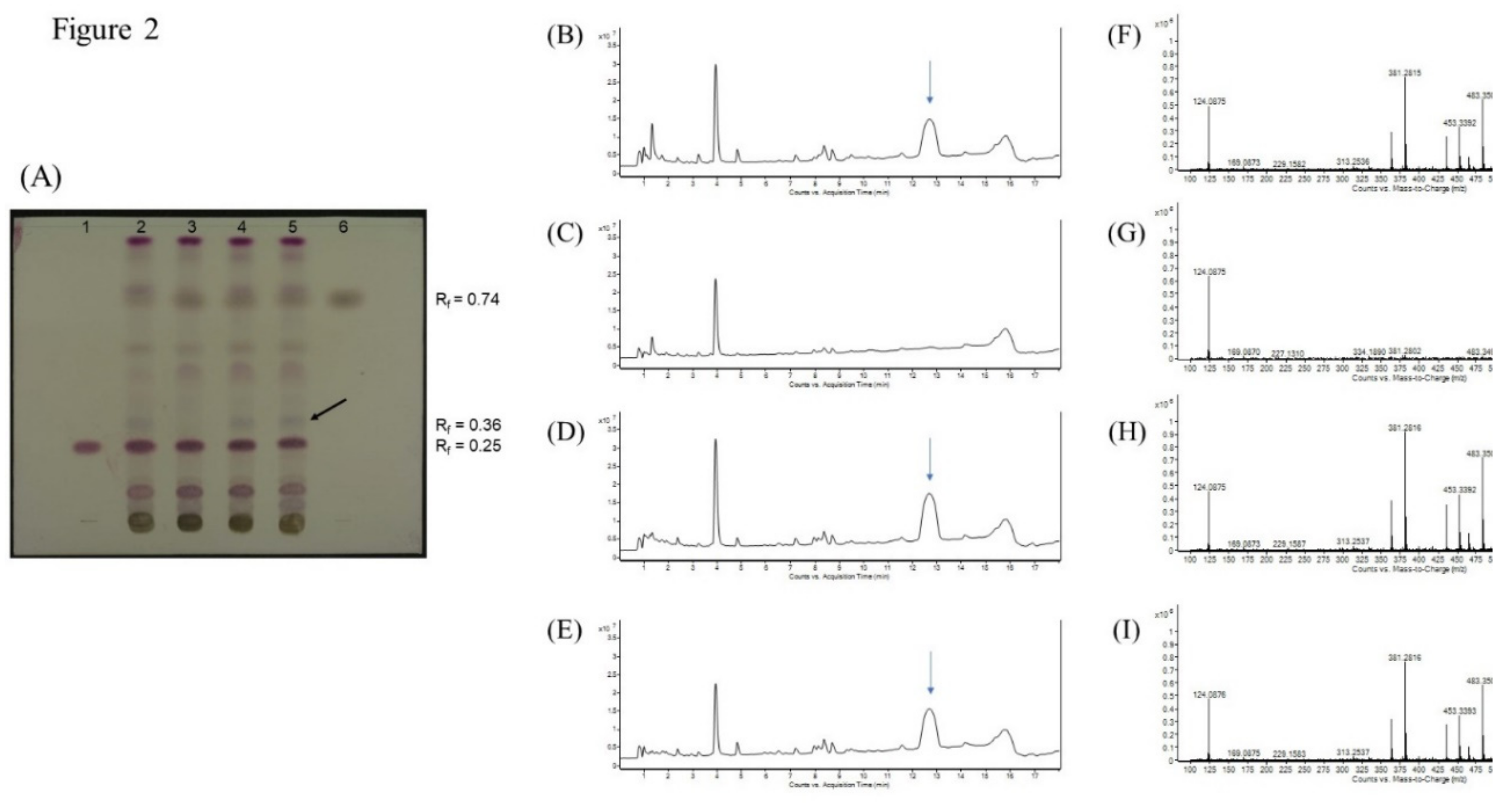 Molecules 24 02880 g002