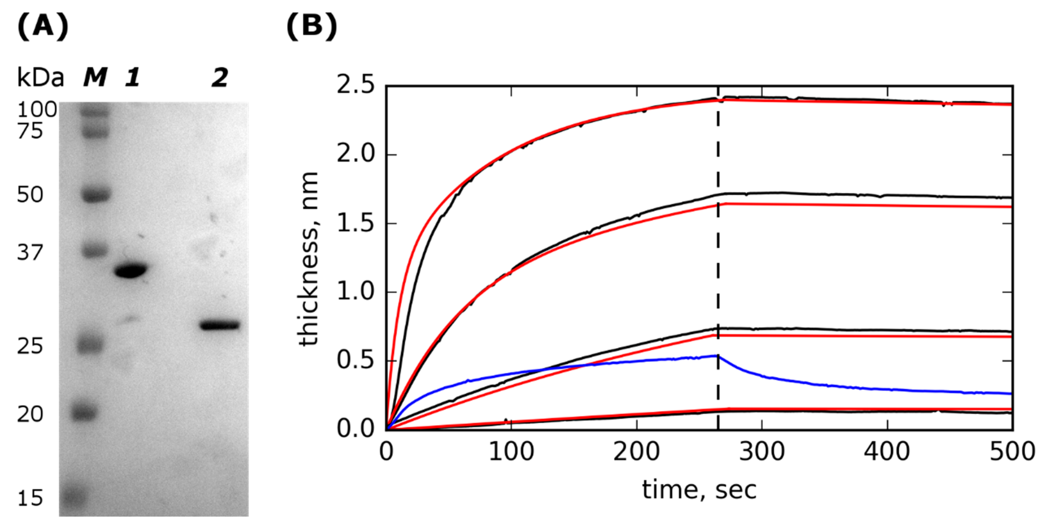 Molecules 24 02892 g001 Molecules 24 02892 g001