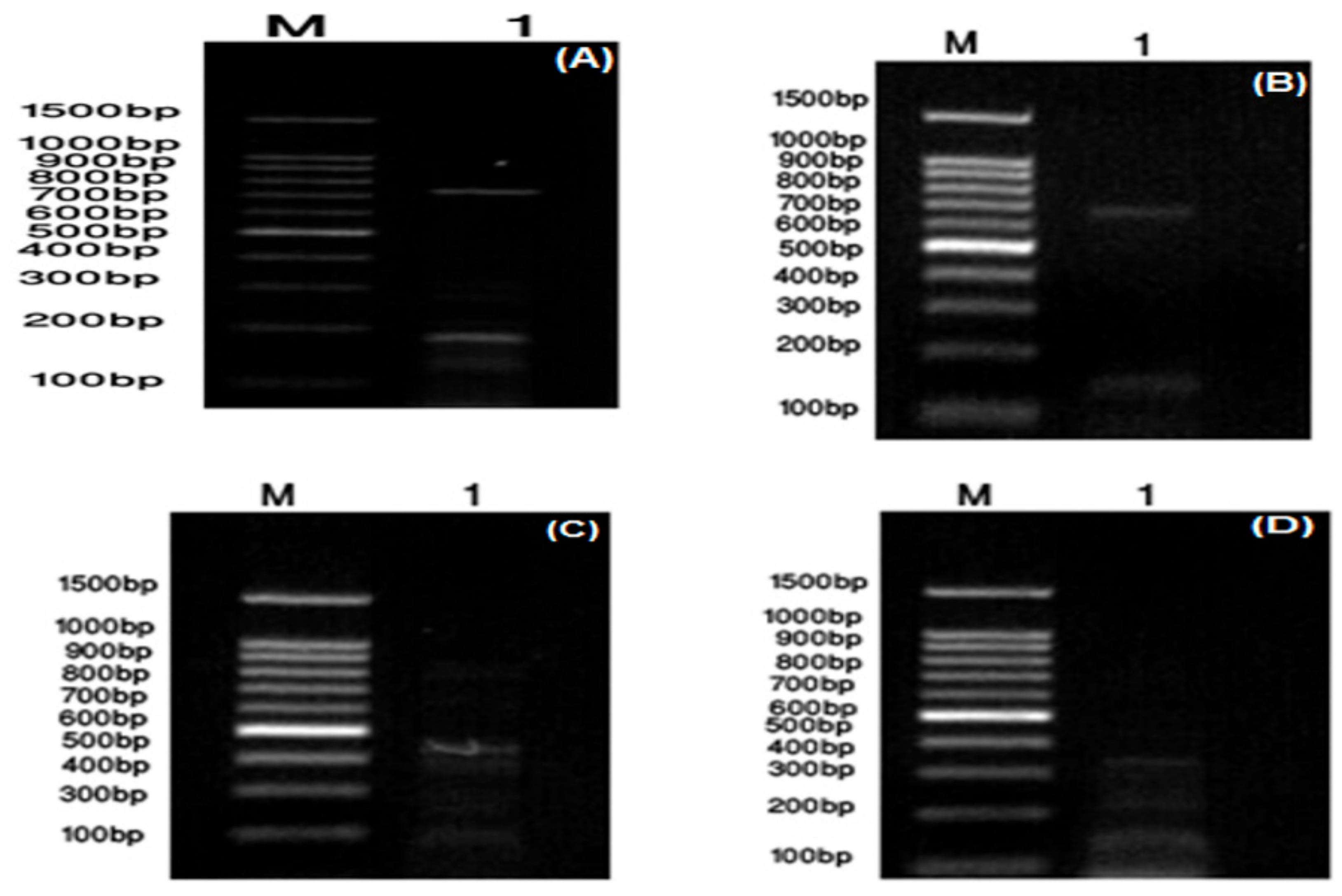 Molecules 24 02903 g001 Molecules 24 02903 g001
