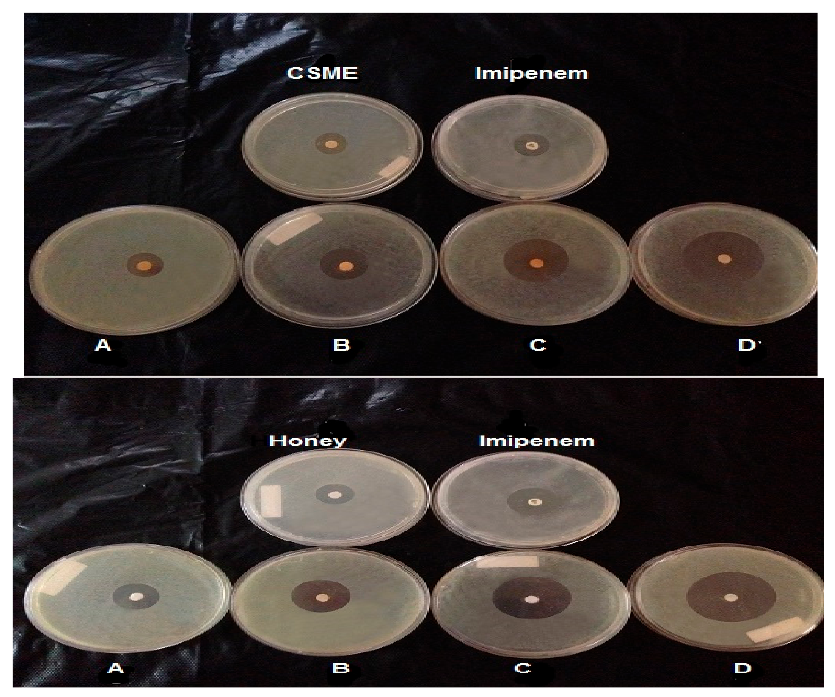 Molecules 24 02903 g002 Molecules 24 02903 g002