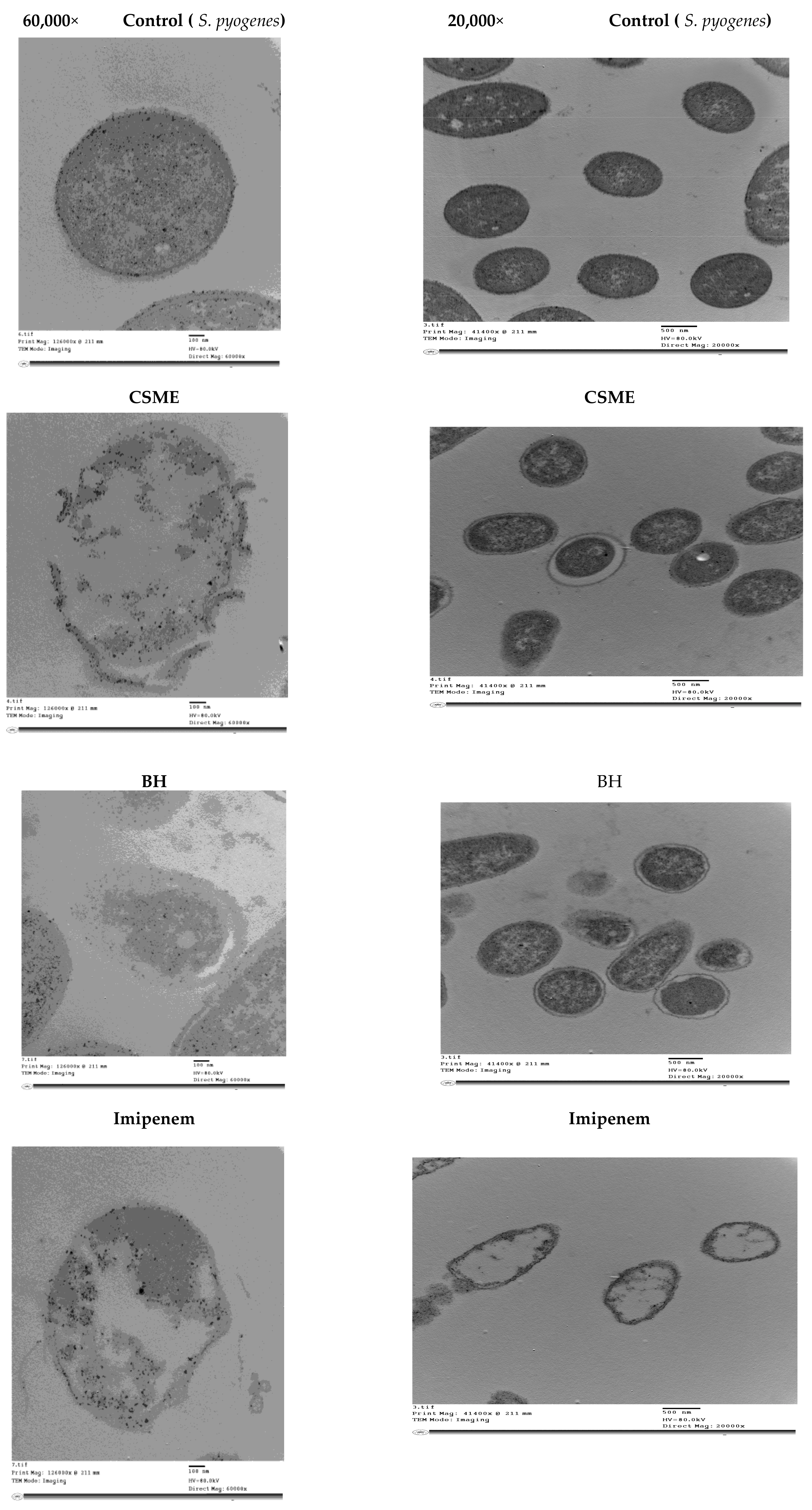 Molecules 24 02903 g005a Molecules 24 02903 g005a