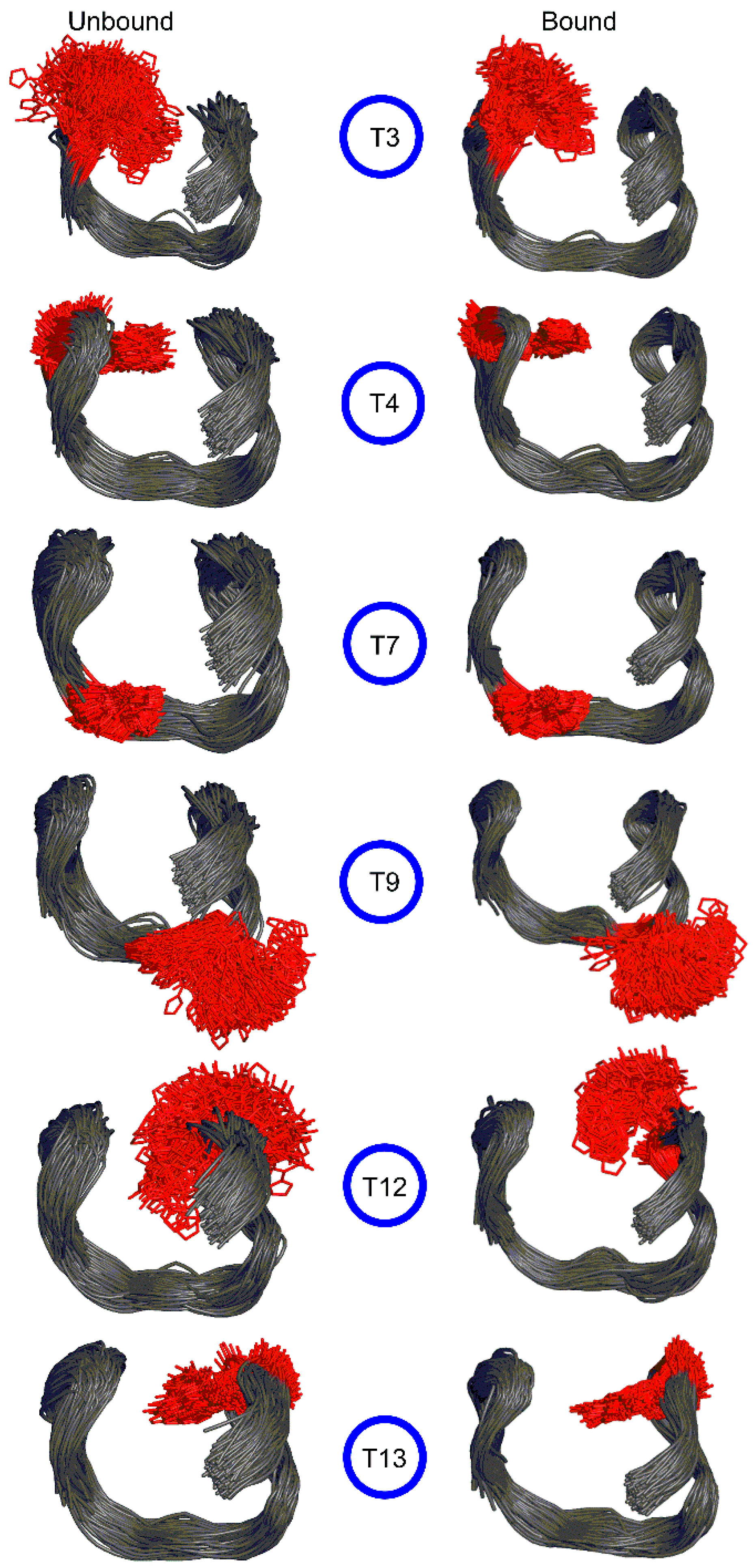 Molecules 24 02908 g003 Molecules 24 02908 g003