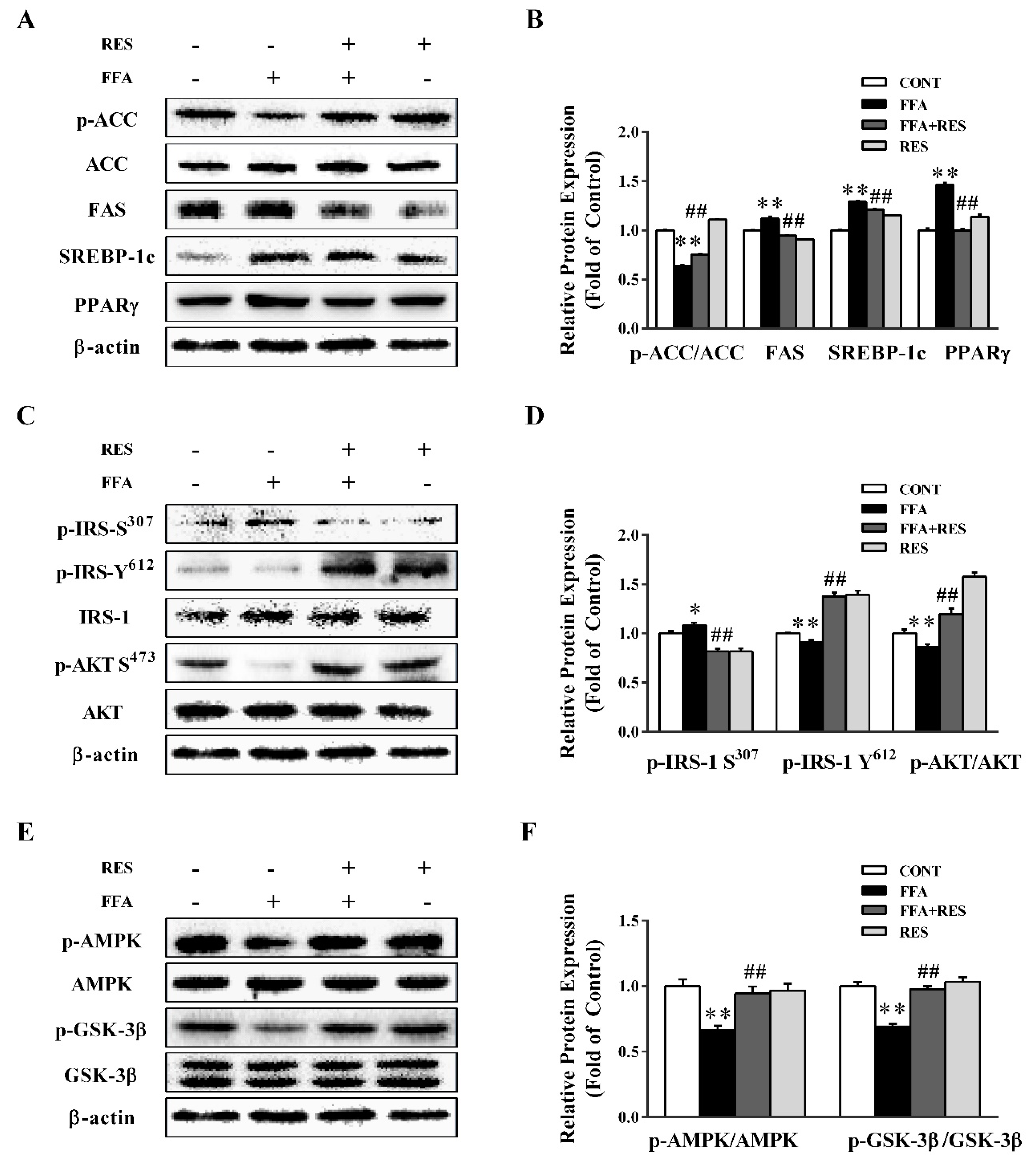 Molecules 24 02916 g002