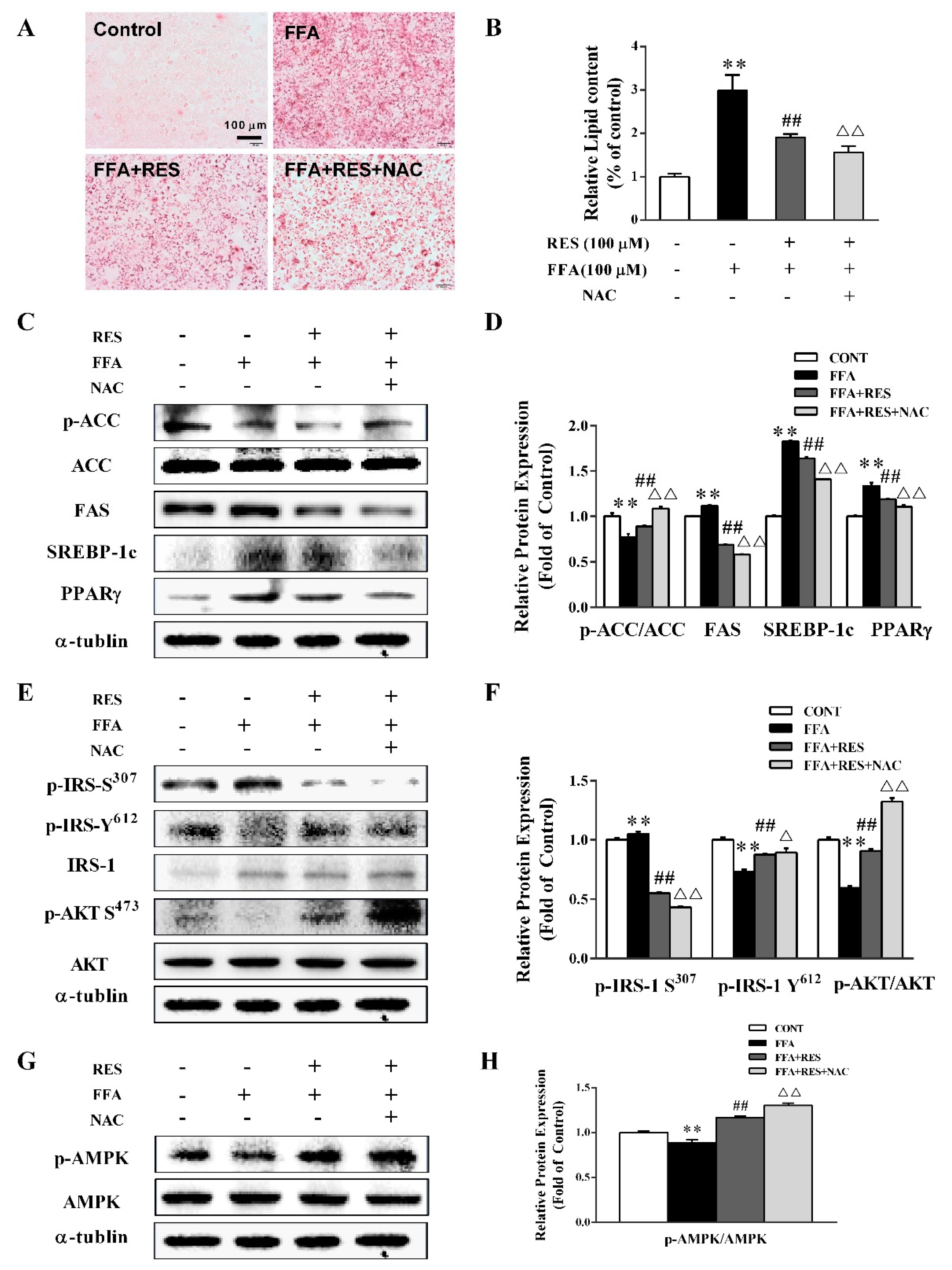 Molecules 24 02916 g004