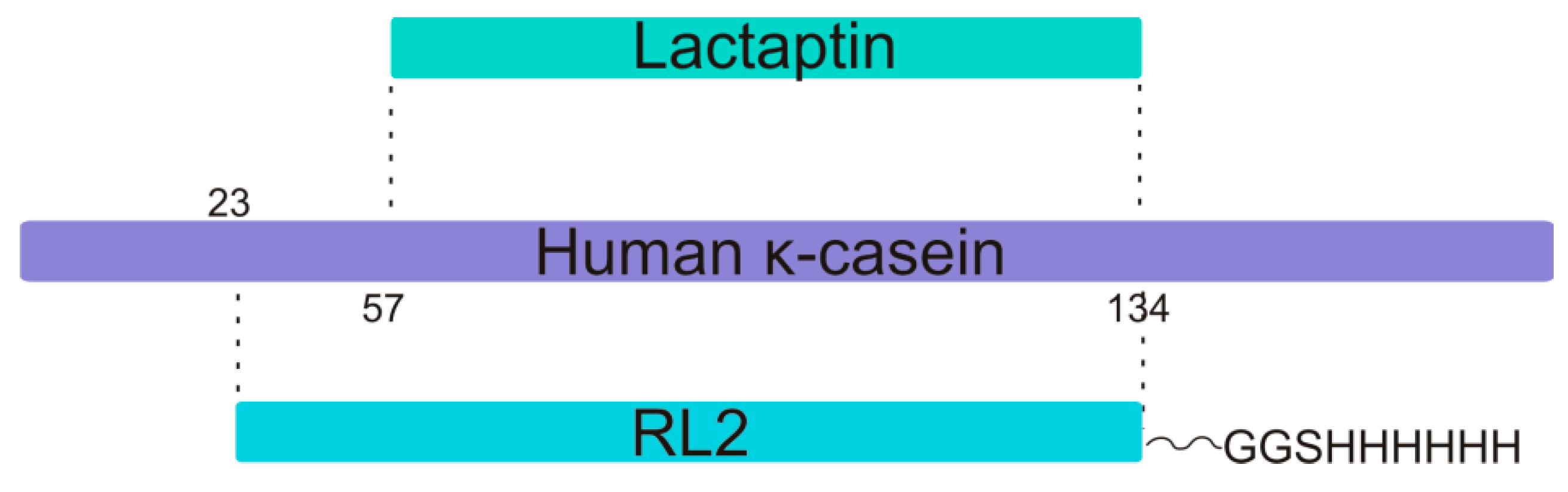 Molecules 24 02919 g001