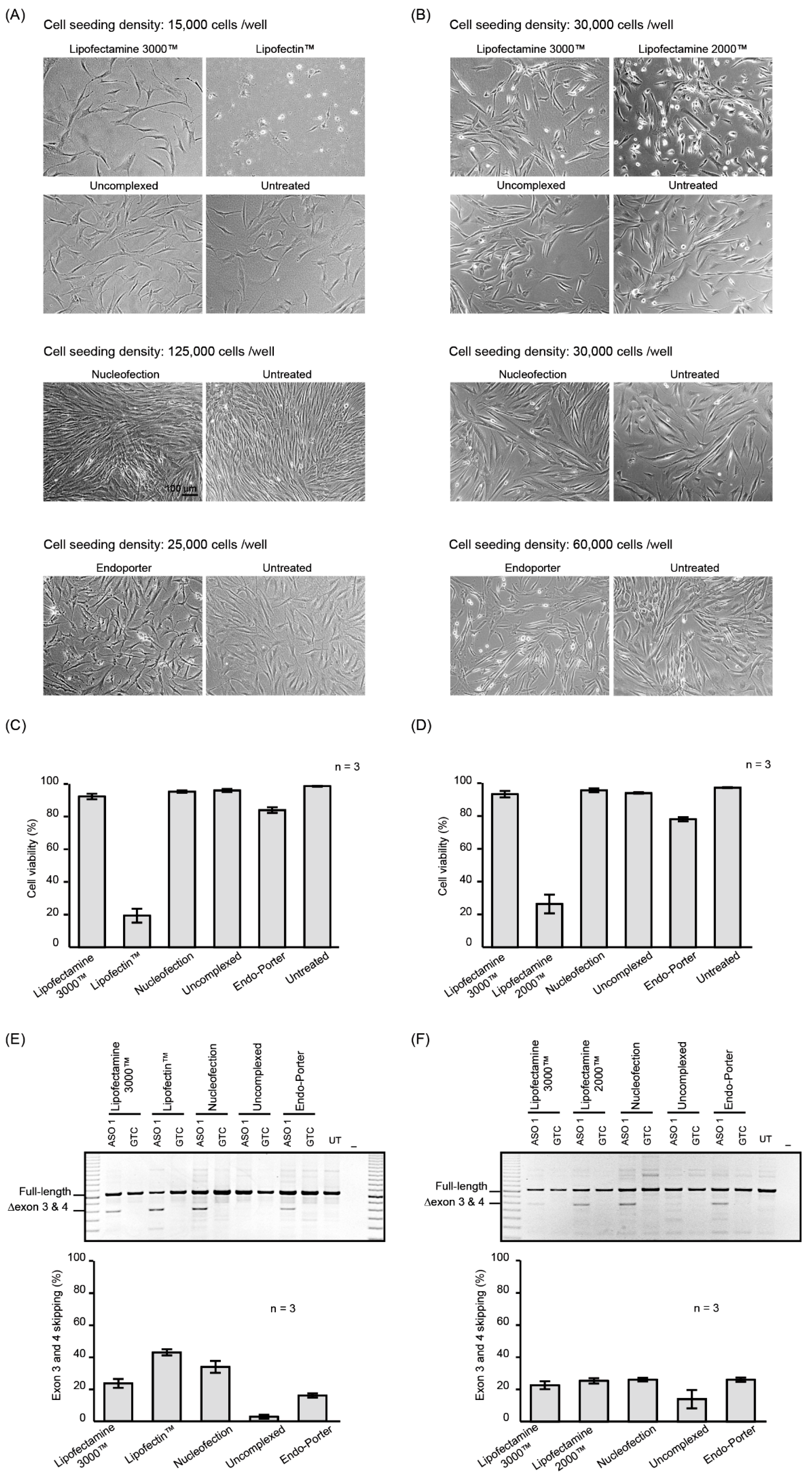 Molecules 24 02922 g001