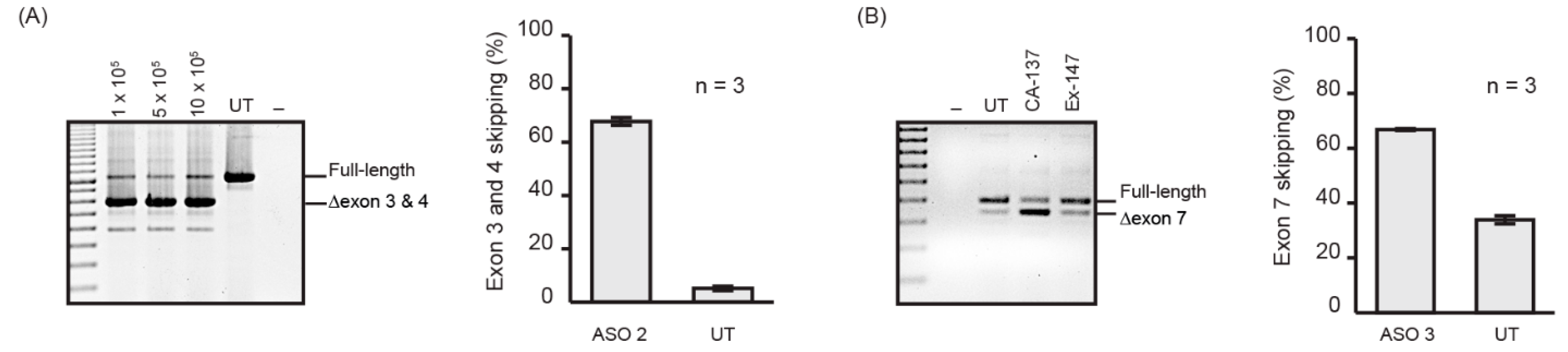 Molecules 24 02922 g002