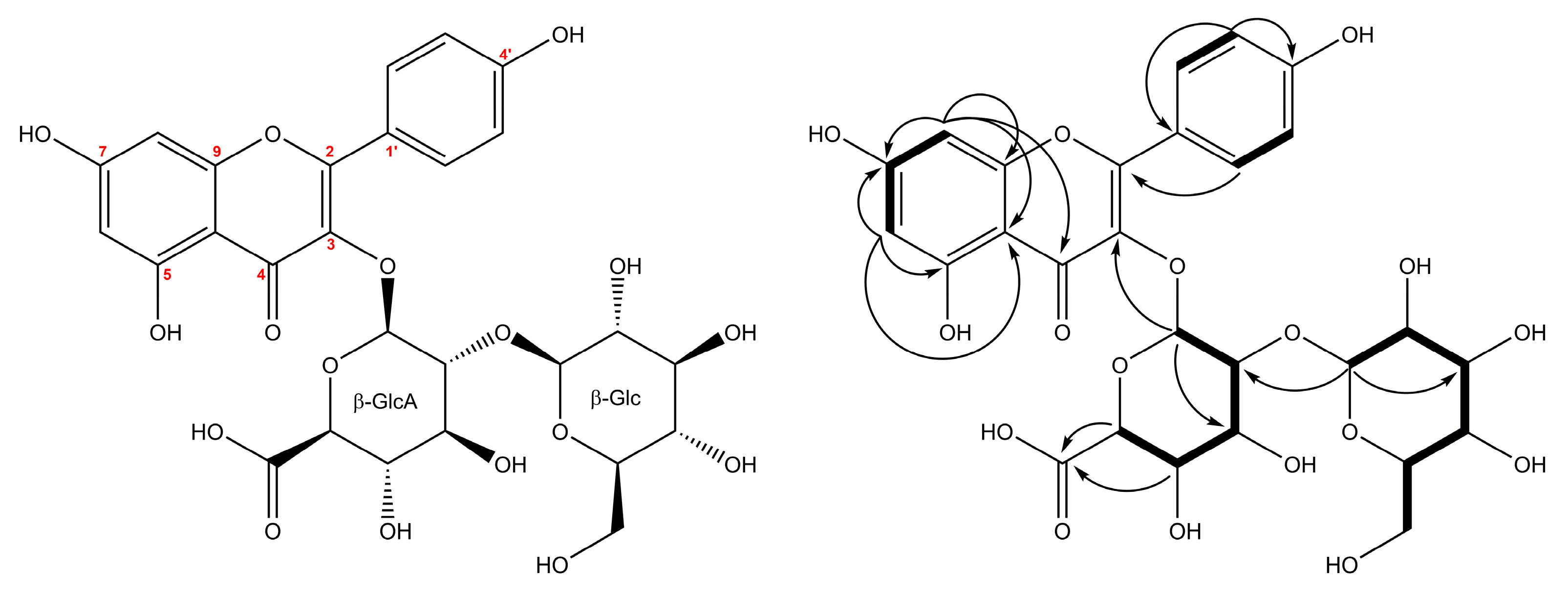 Molecules 24 02934 g003