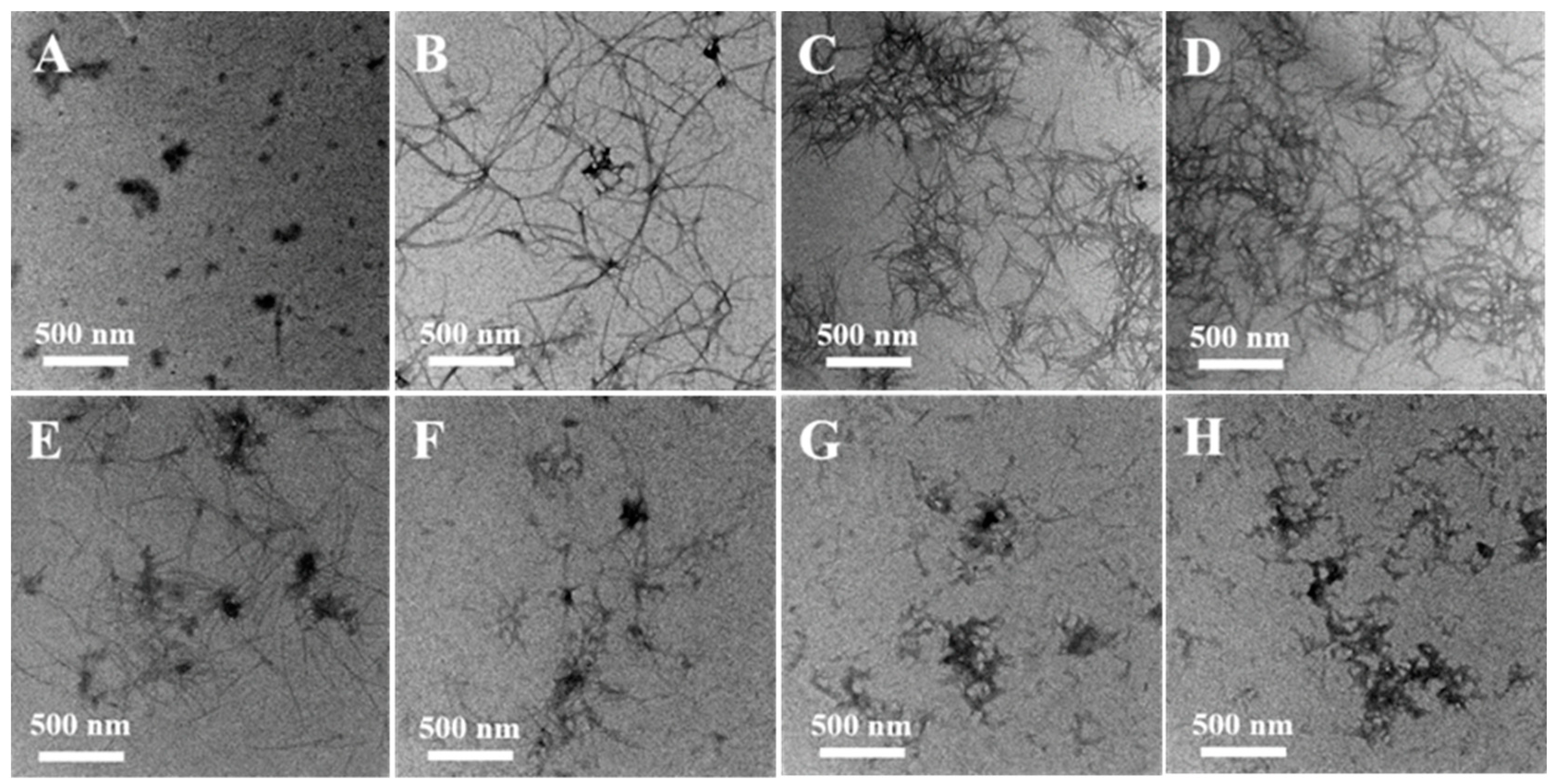 Molecules 24 02940 g004