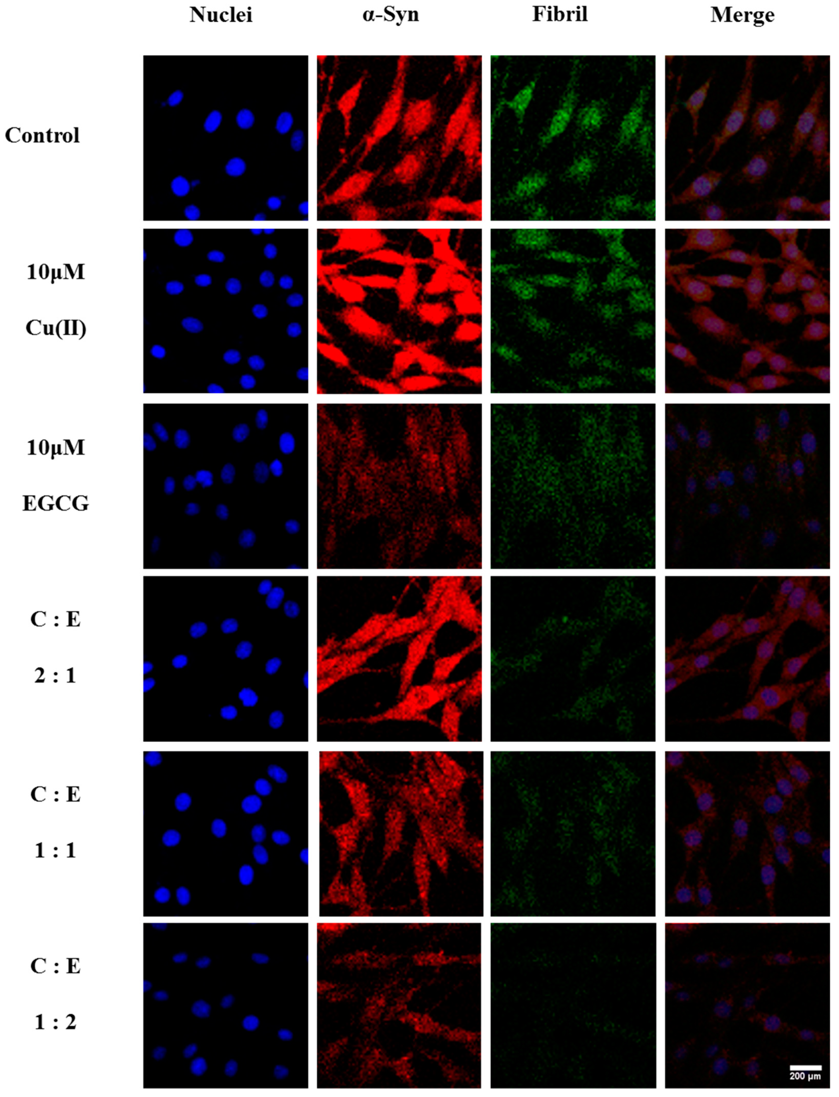 Molecules 24 02940 g007