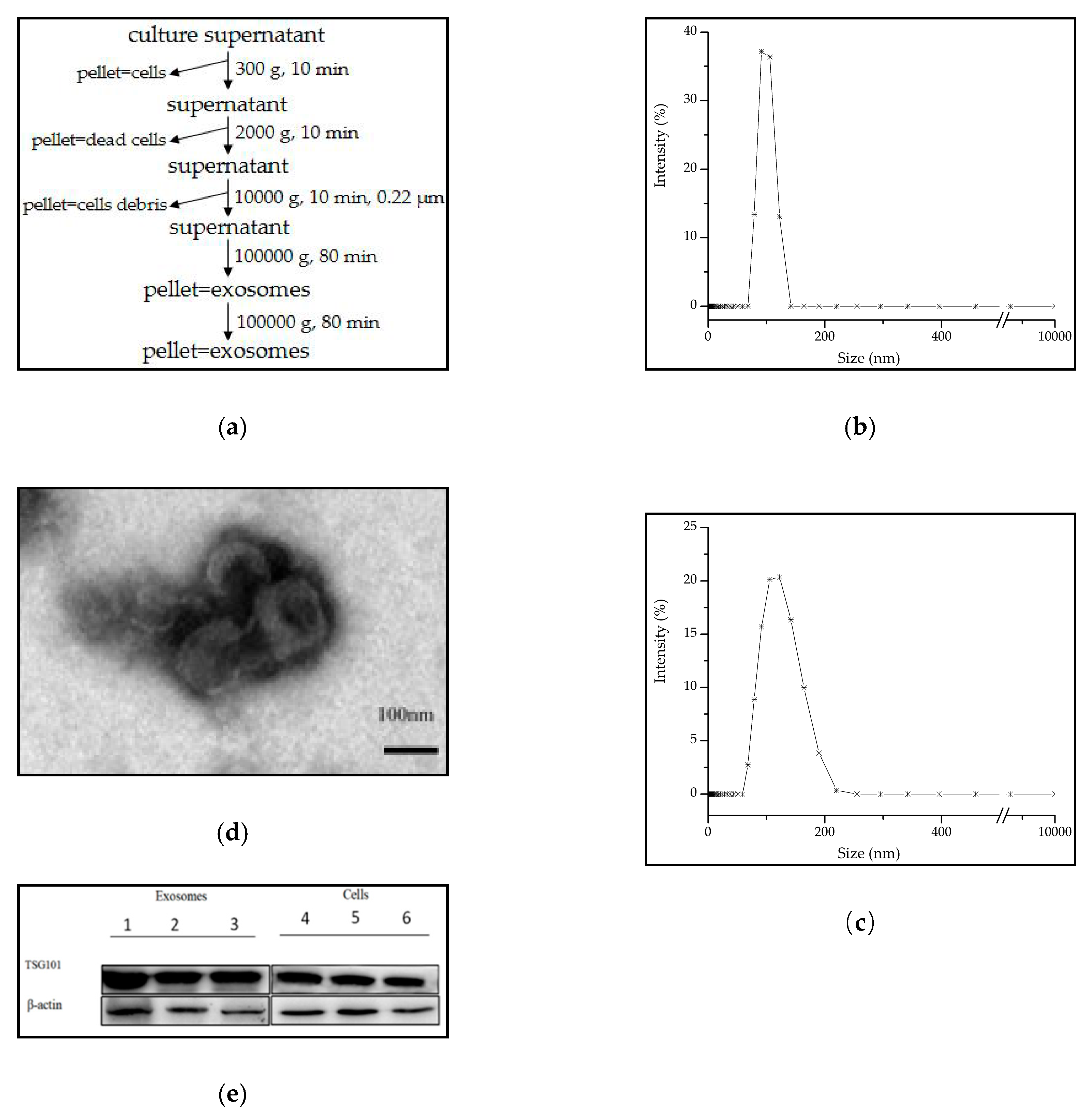 Molecules 24 02947 g001