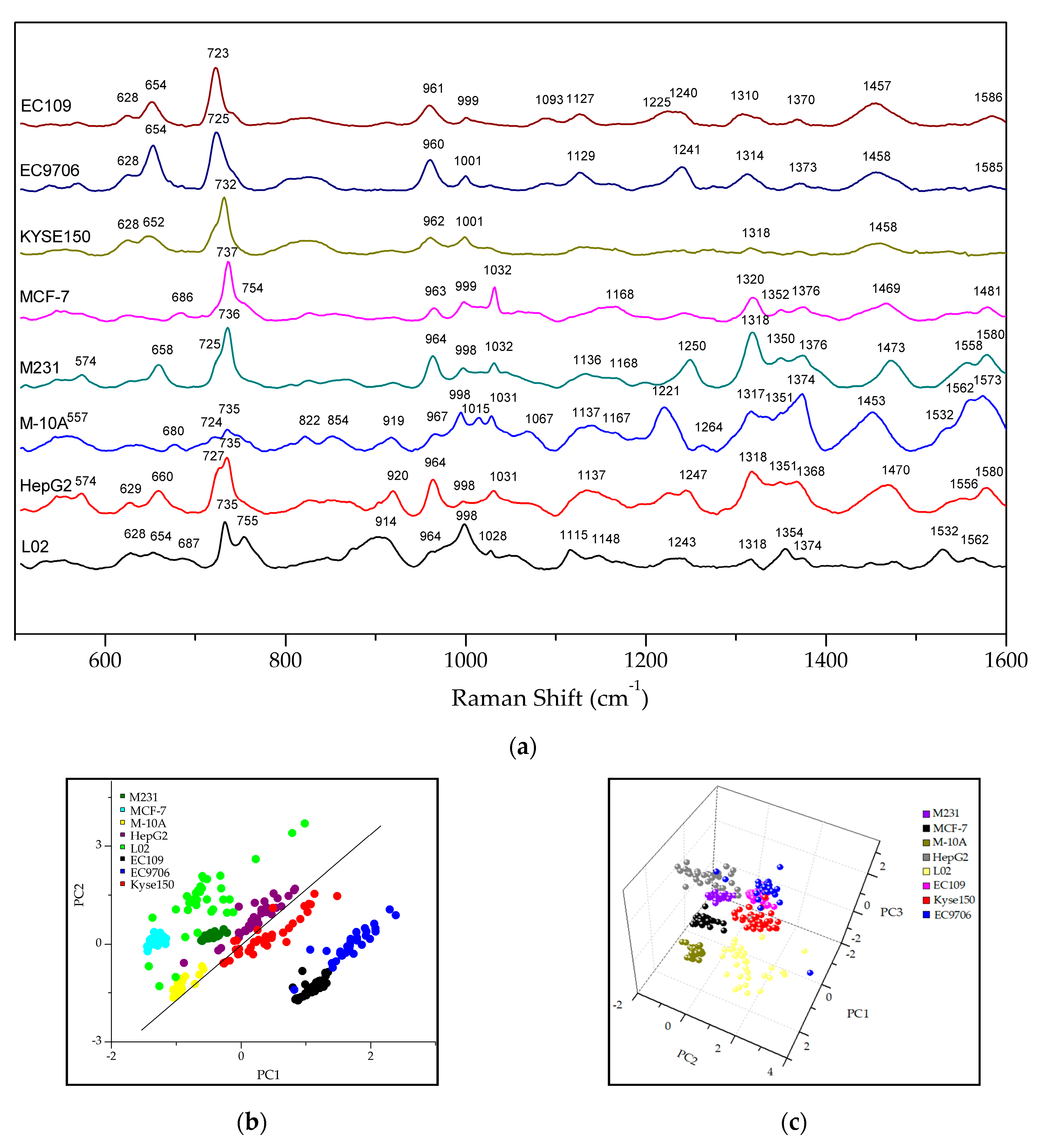 Molecules 24 02947 g003