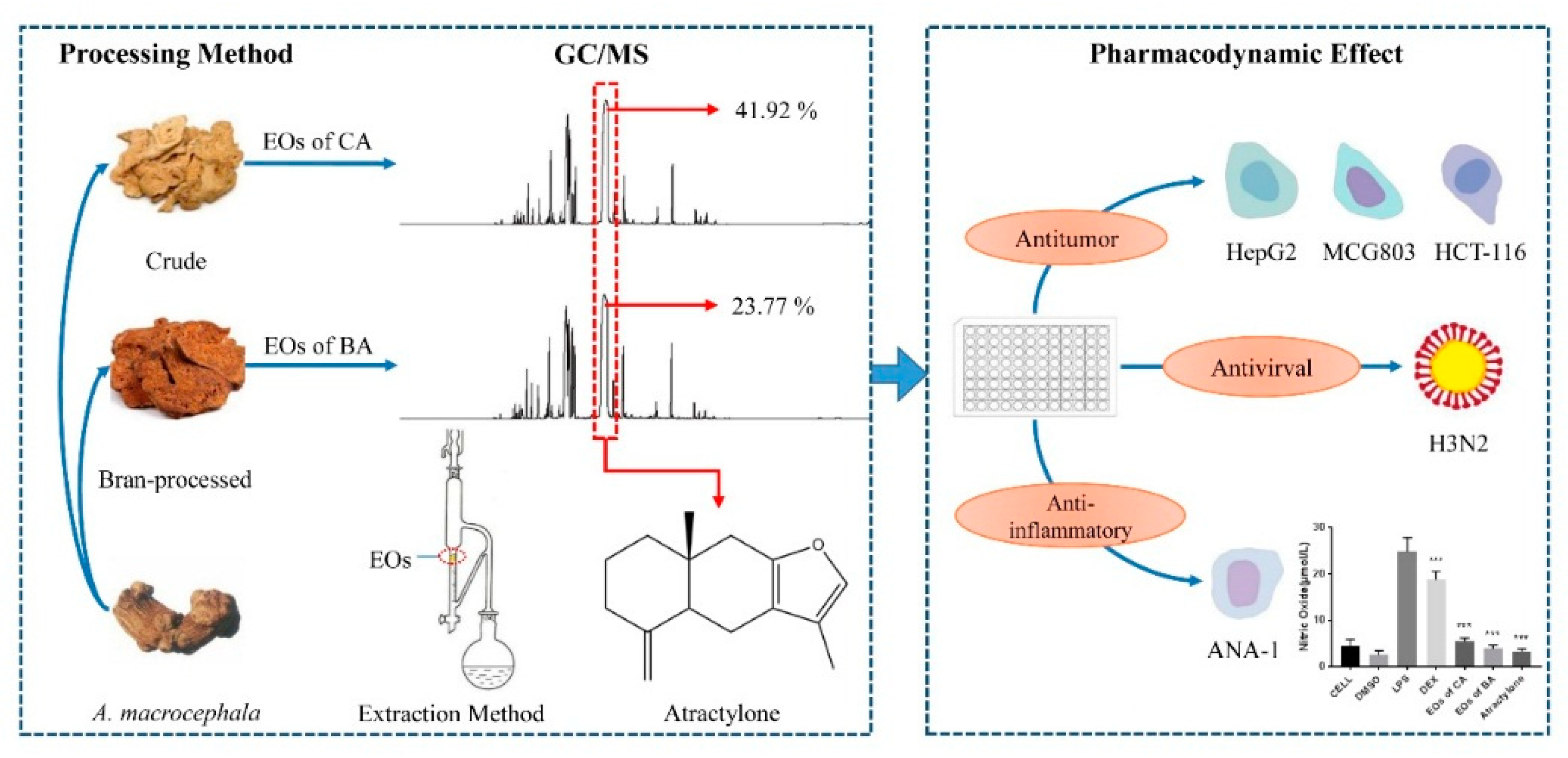 Molecules 24 02956 g001